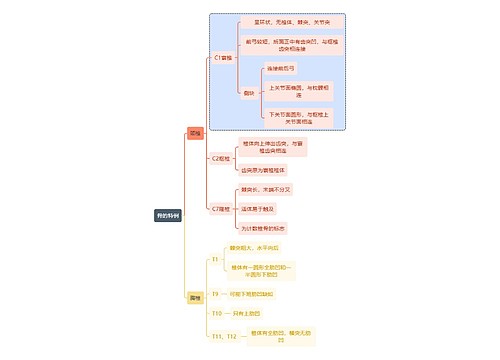 骨学知识骨的特例思维导图