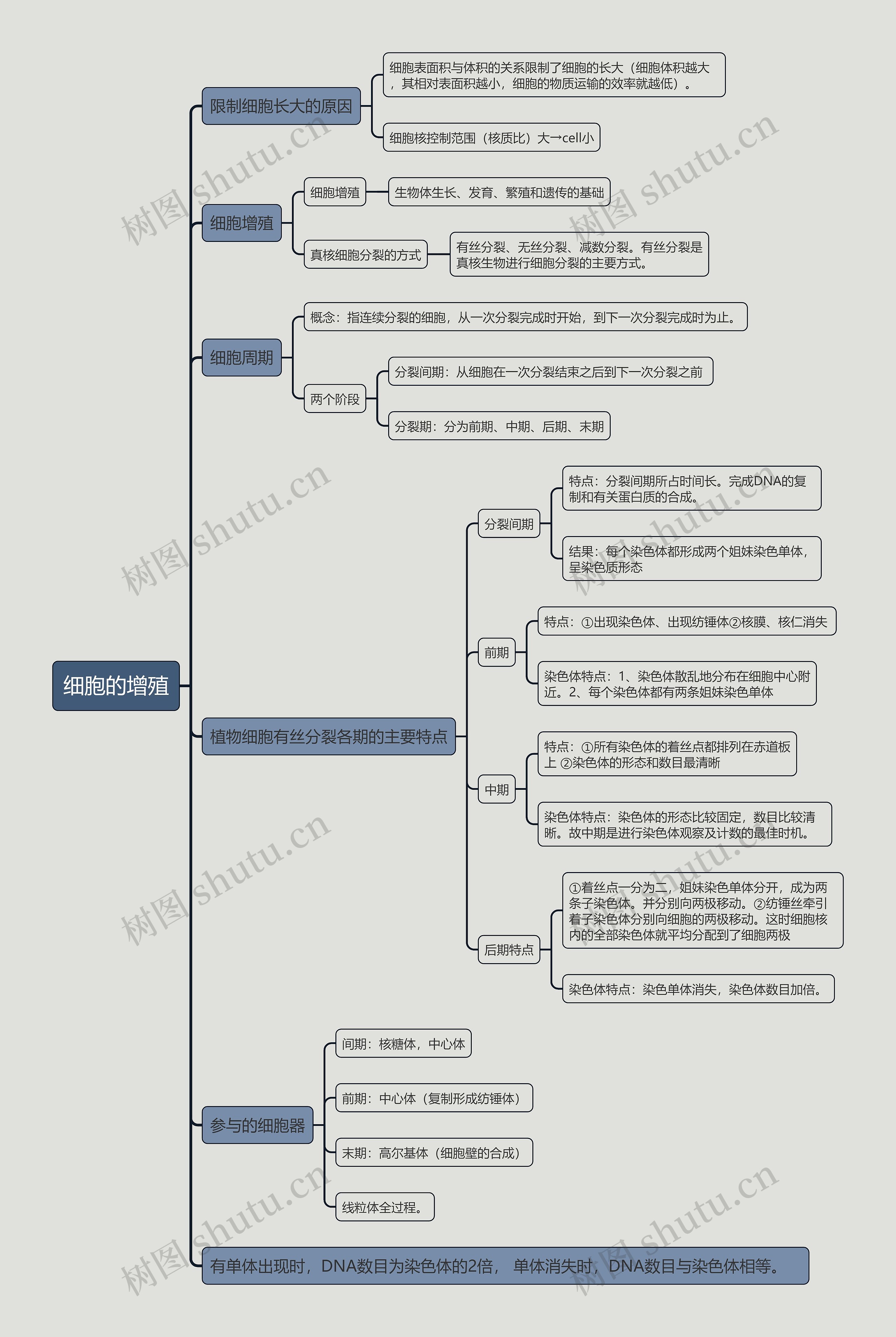细胞的增殖的思维导图