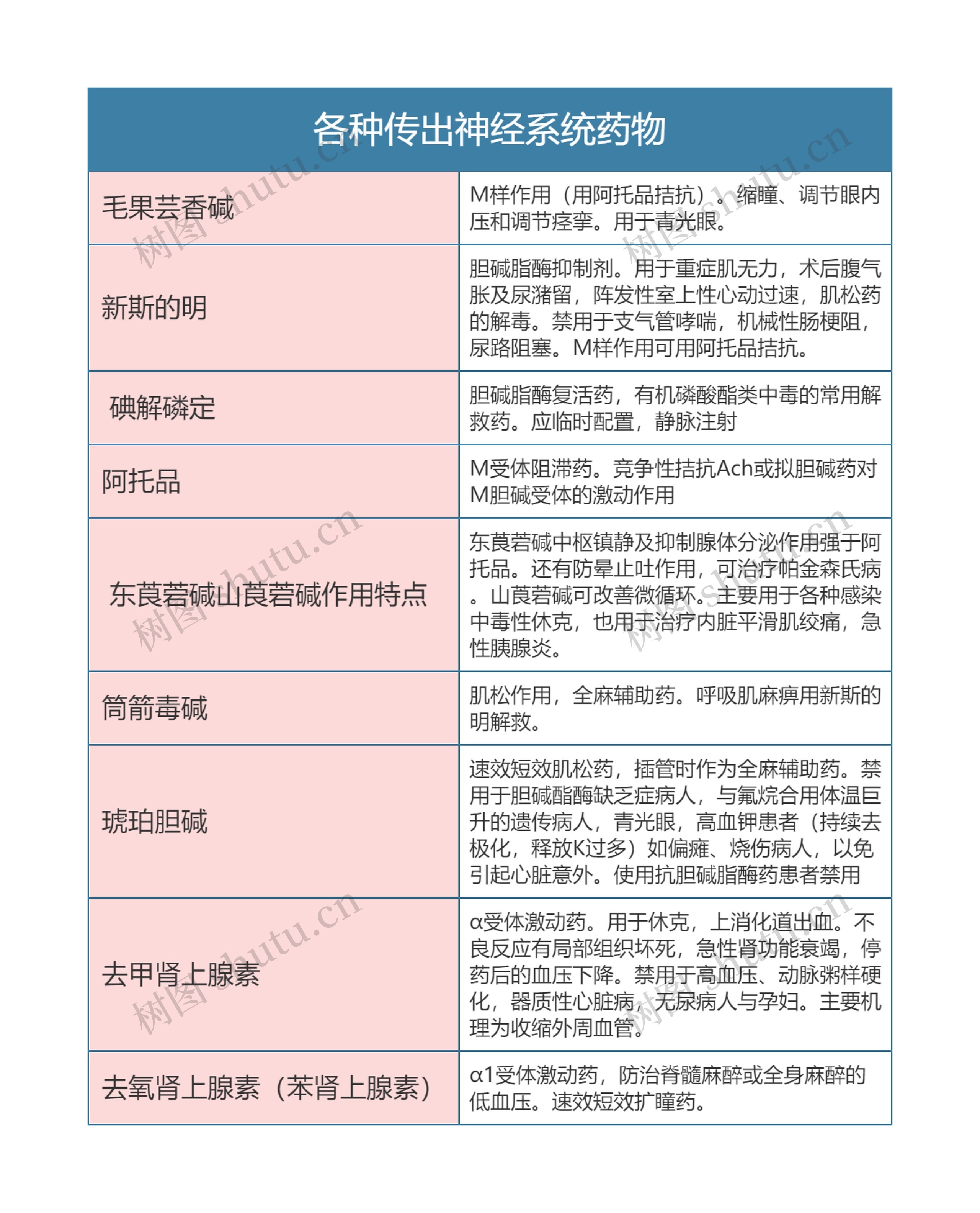 药理学  各种传出神经系统药物思维导图