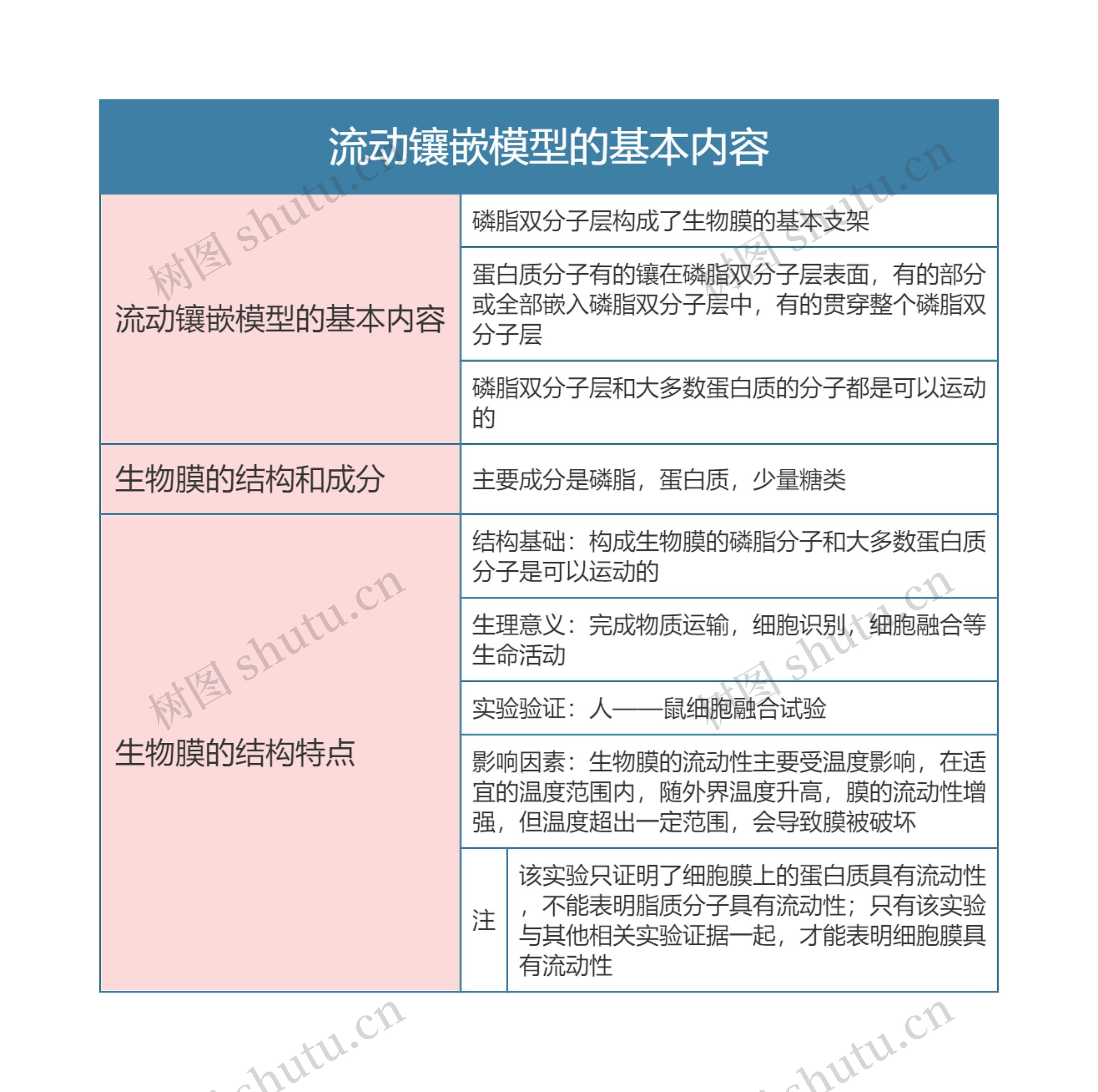 高中生物必修一流动镶嵌模型的基本内容思维导图