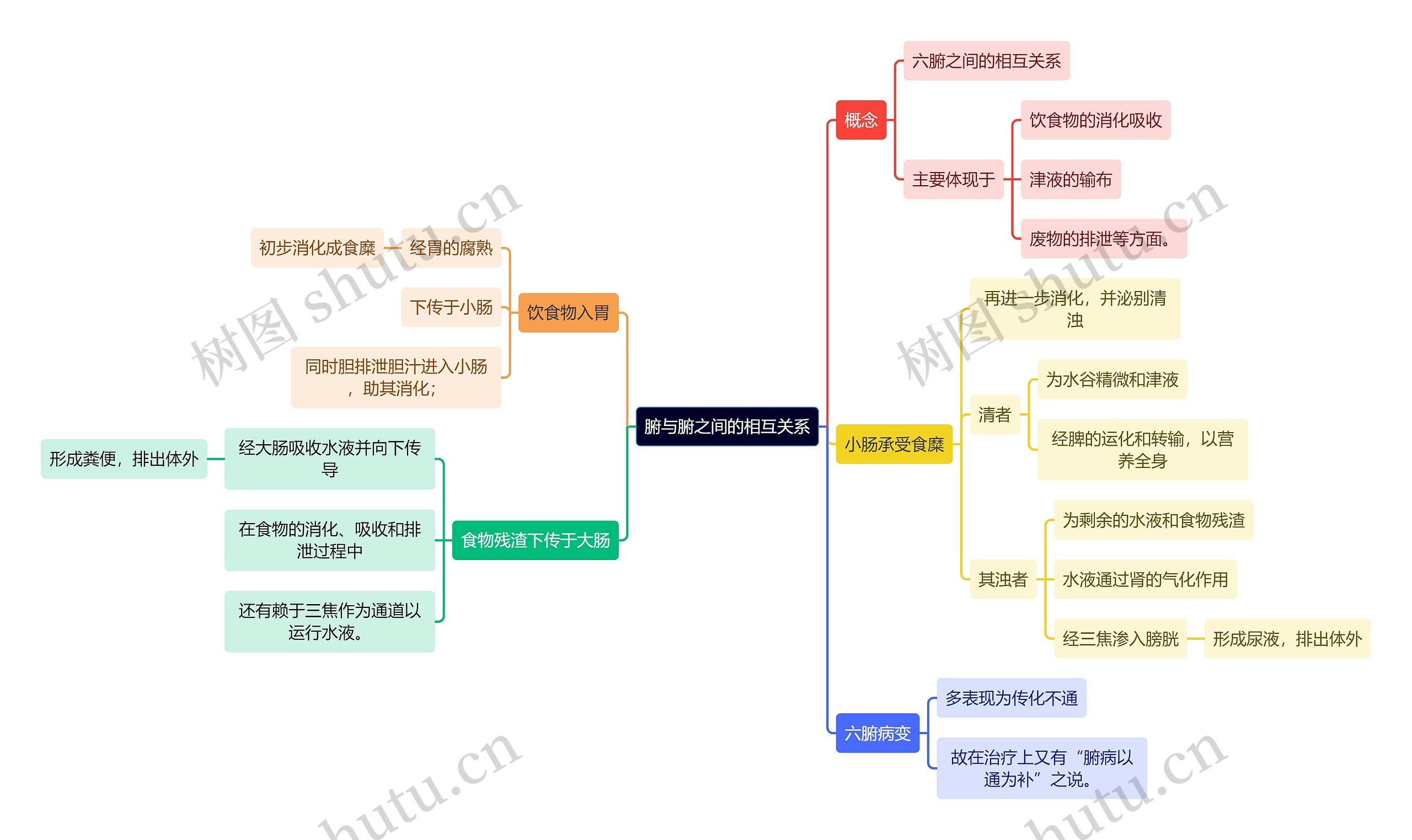 中医知识腑与腑之间的相互关系思维导图