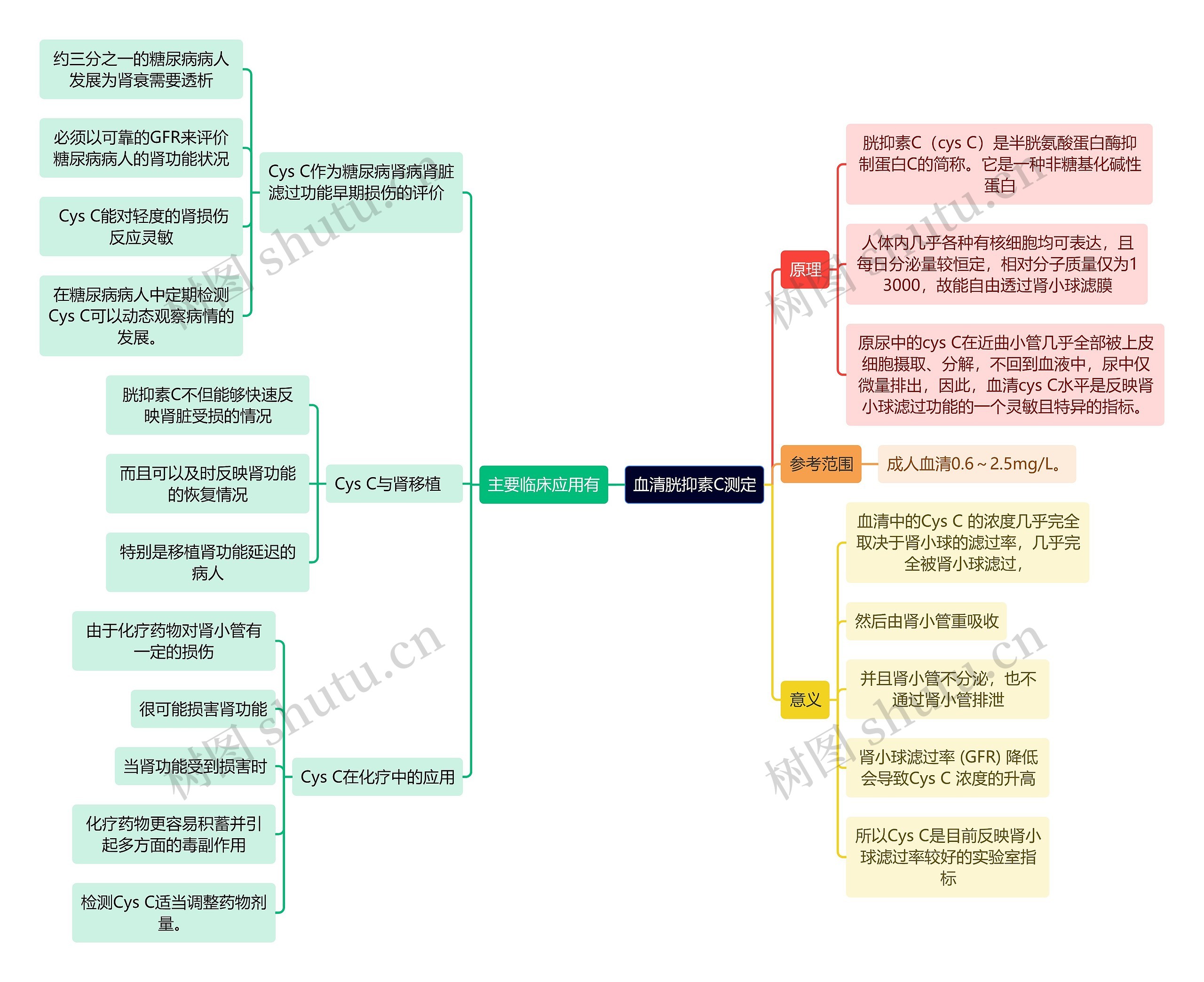 医学知识血清胱抑素C测定思维导图