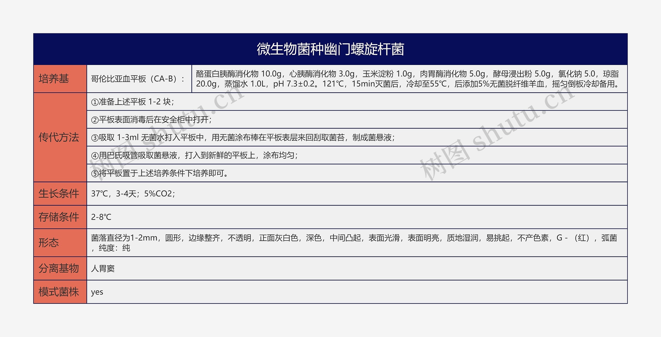 微生物菌种幽门螺旋杆菌思维导图