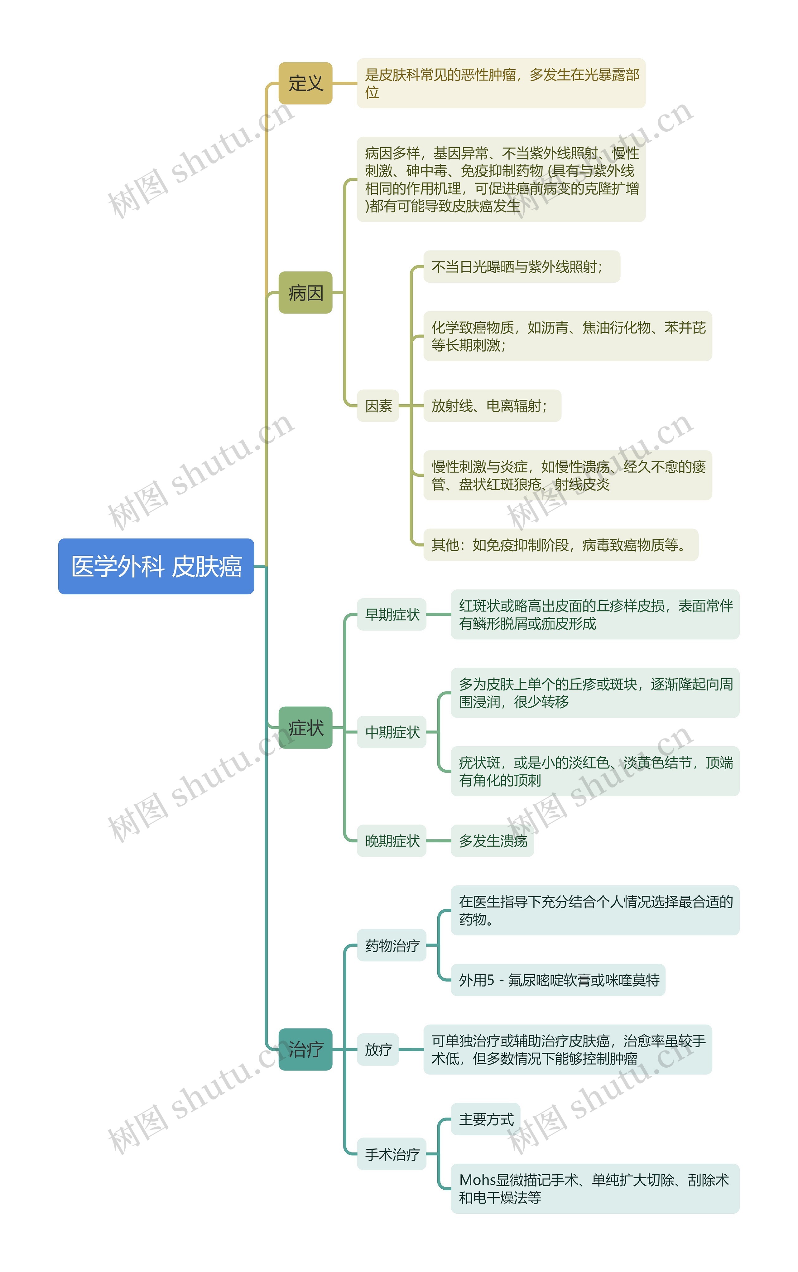 医学外科 皮肤癌