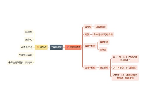 医学知识伤寒并发症与检查思维导图