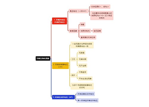 医学知识耳蜗生物电现象思维导图