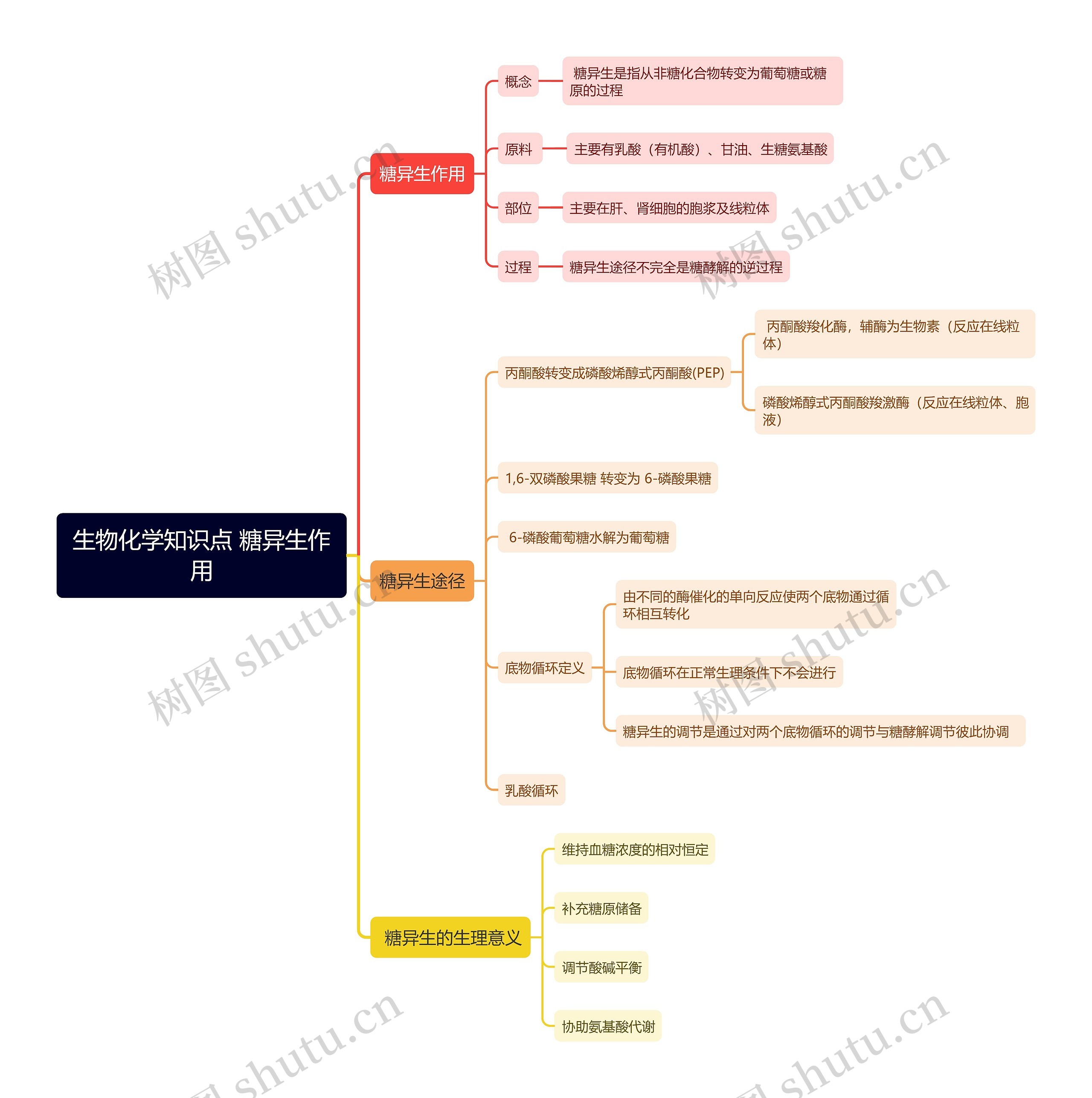 生物化学知识点 糖异生作用思维导图高清图 生物化学知识点 糖异生作用思维导图