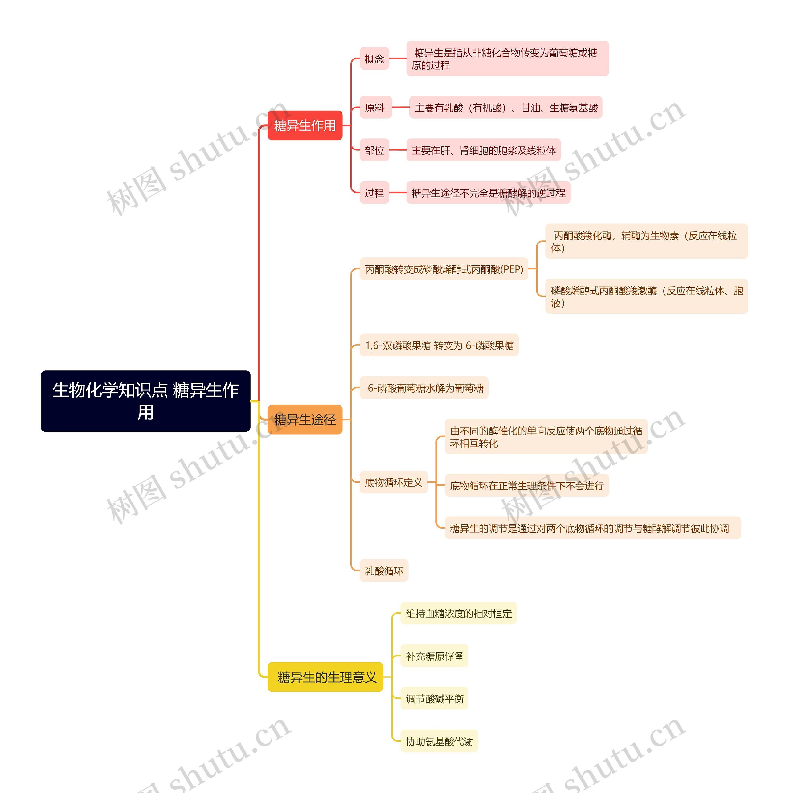 生物化学知识点 糖异生作用思维导图