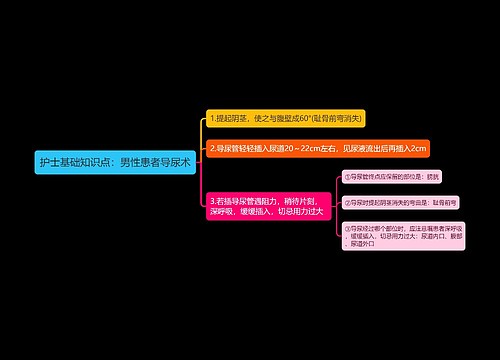 护士基础知识点：男性患者导尿术