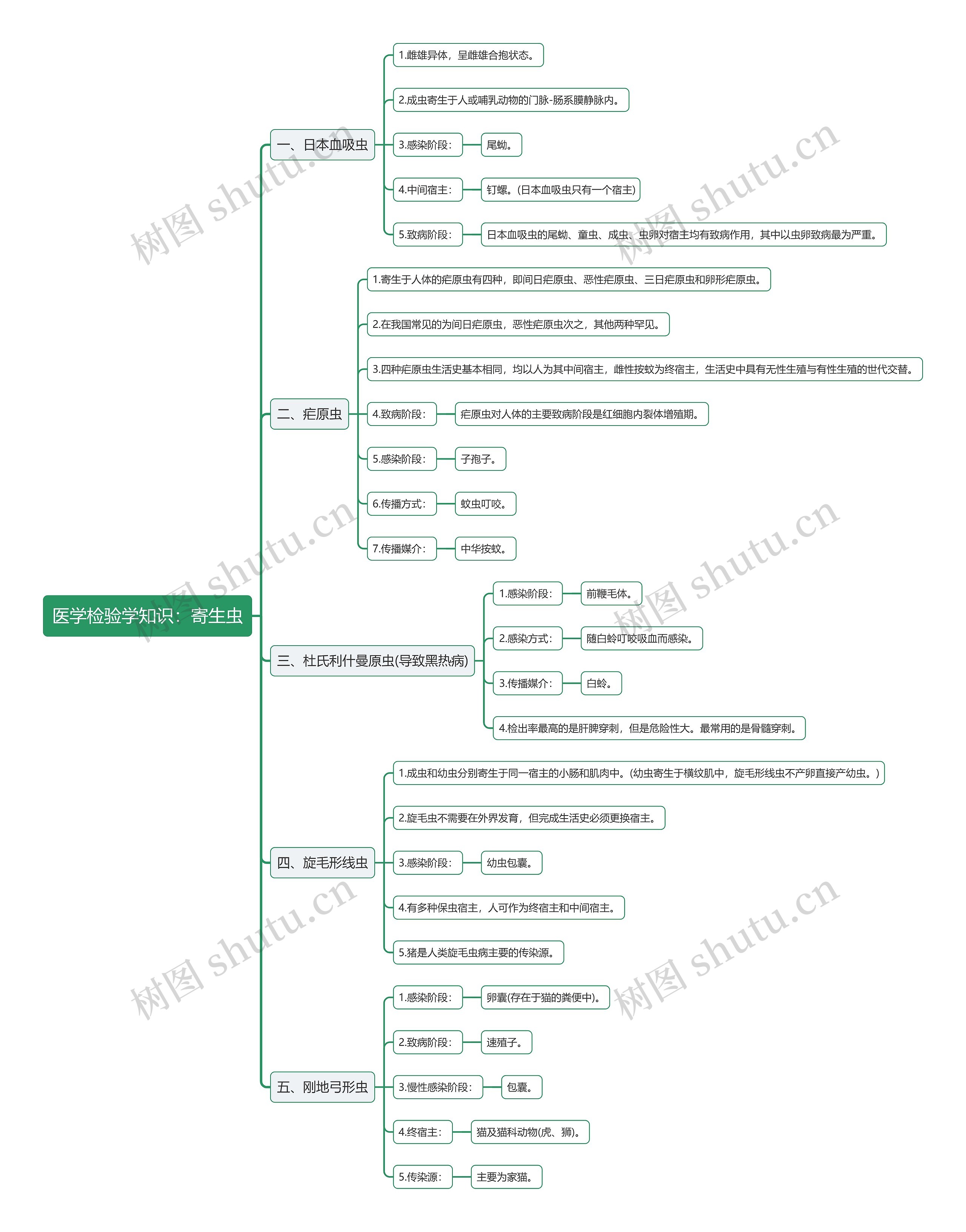 医学检验学知识：寄生虫思维导图