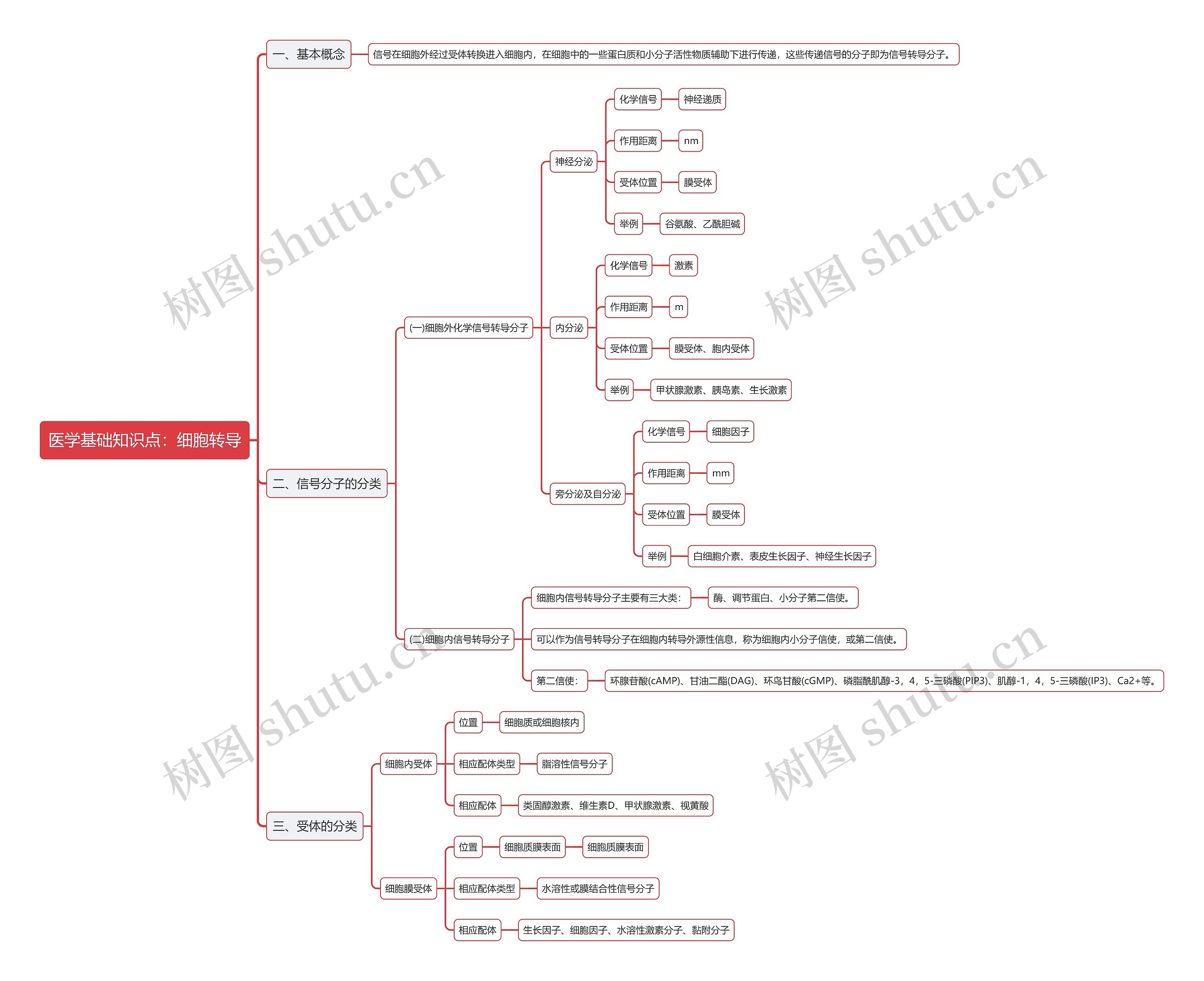 医学基础知识点：细胞转导思维导图