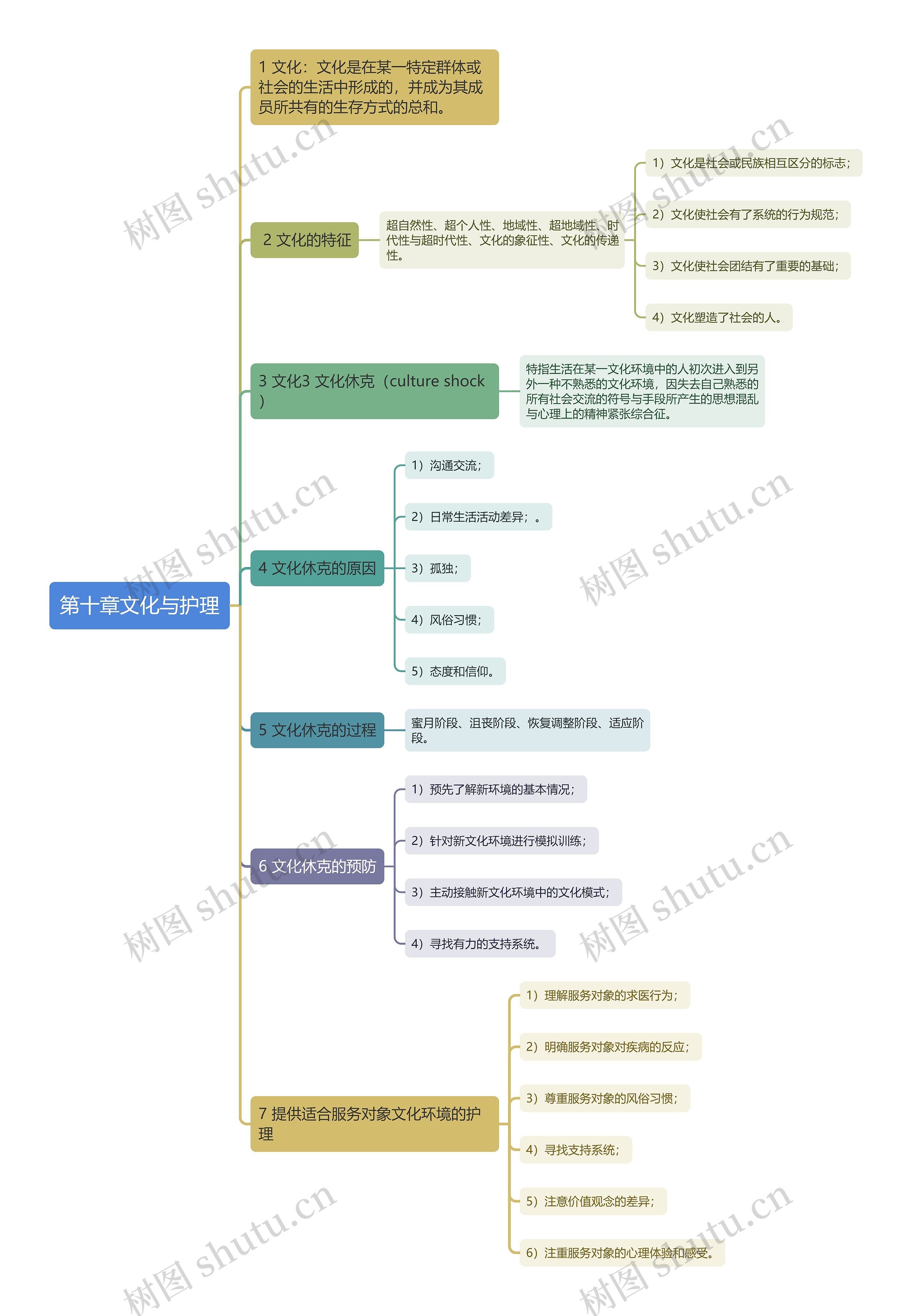 文化与护理思维导图