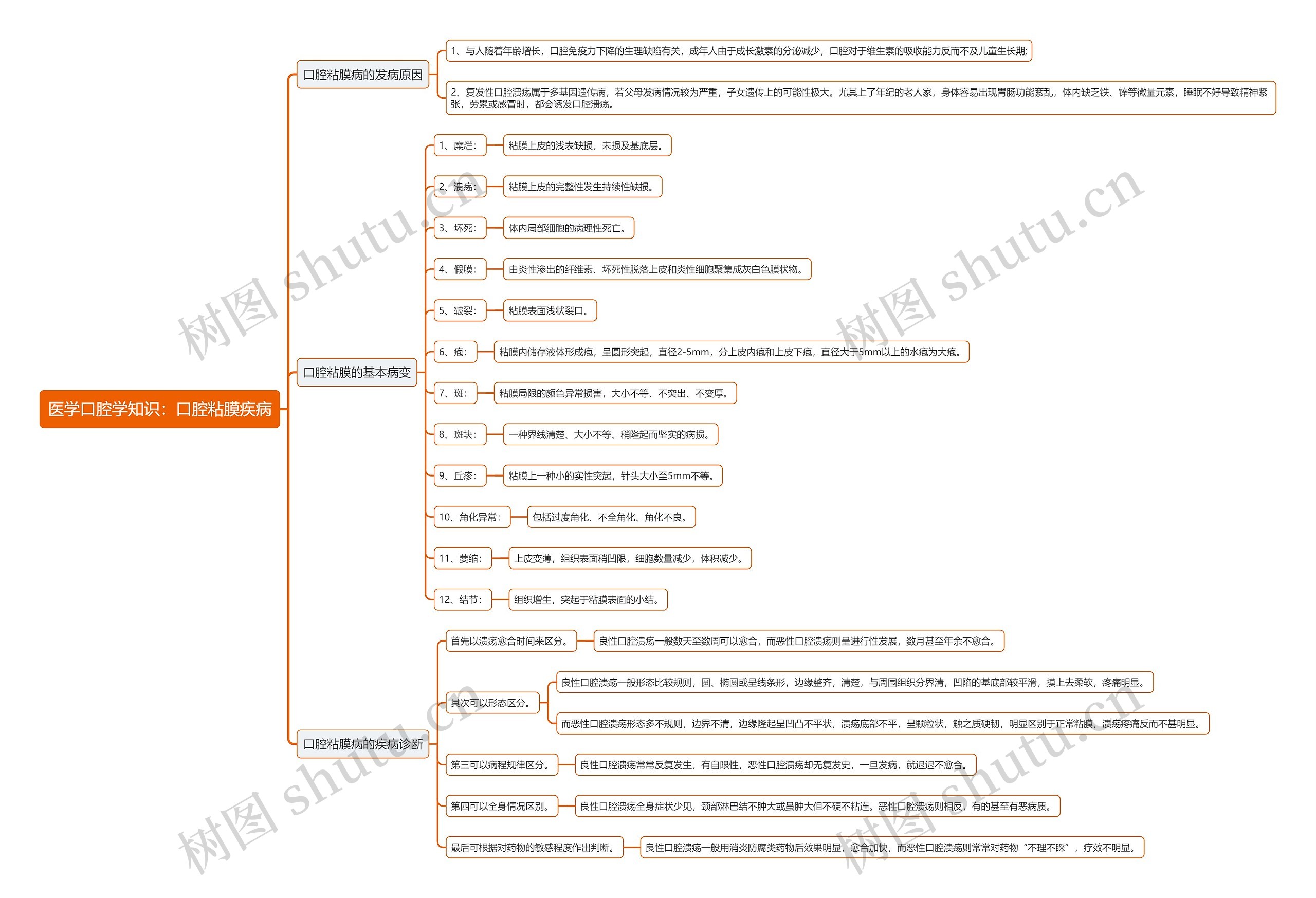 医学口腔学知识：口腔粘膜疾病思维导图