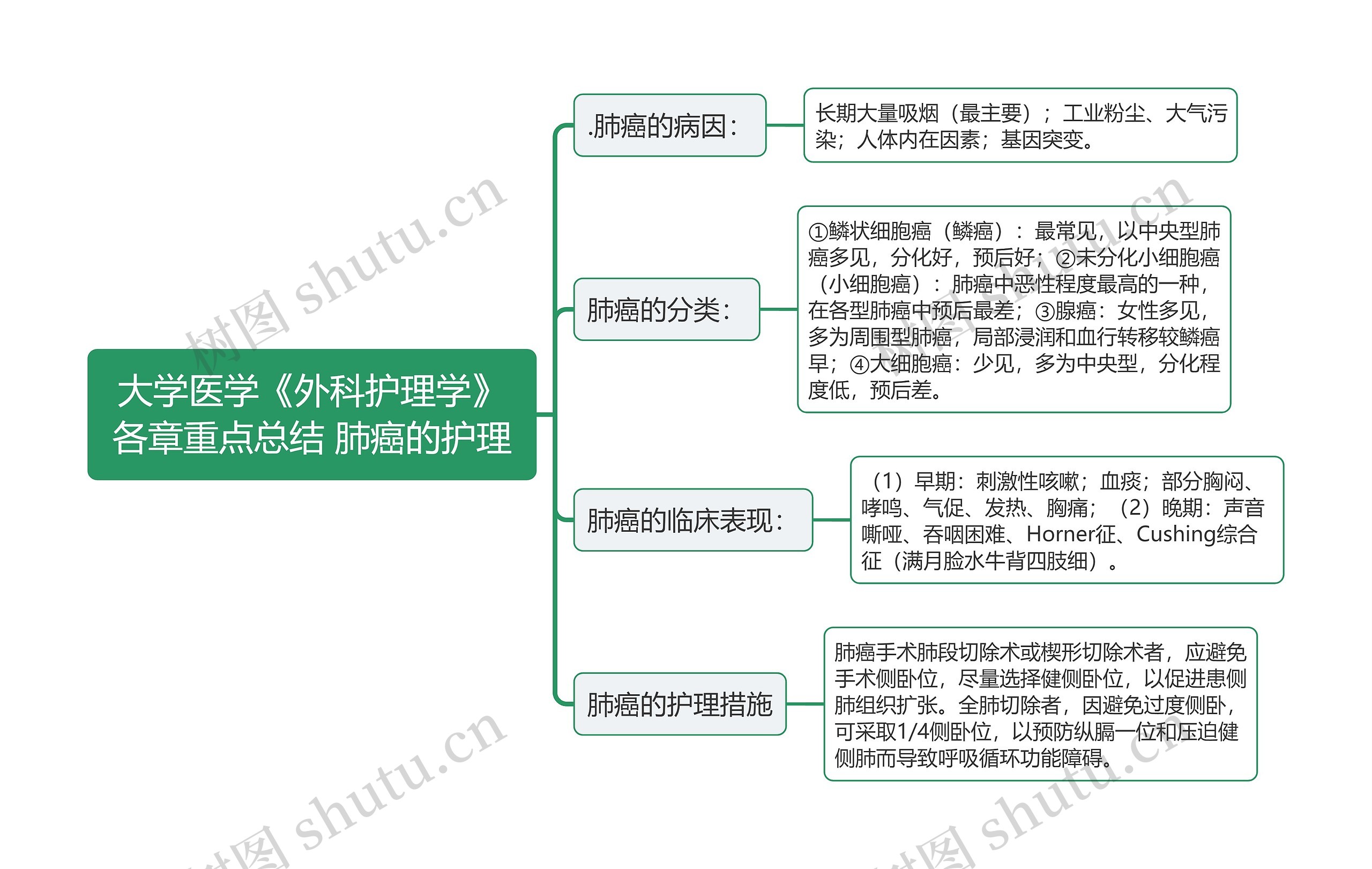 大学医学《外科护理学》各章重点总结 肺癌的护理