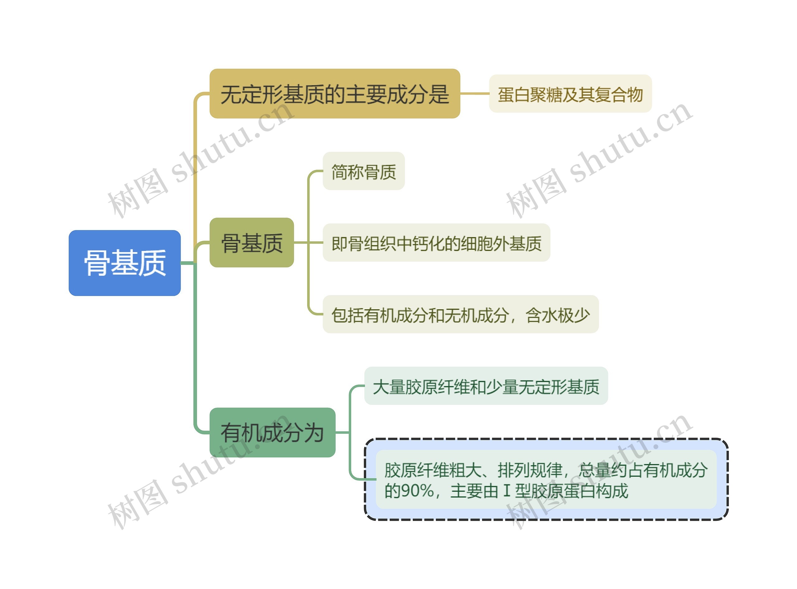 医学知识骨基质思维导图