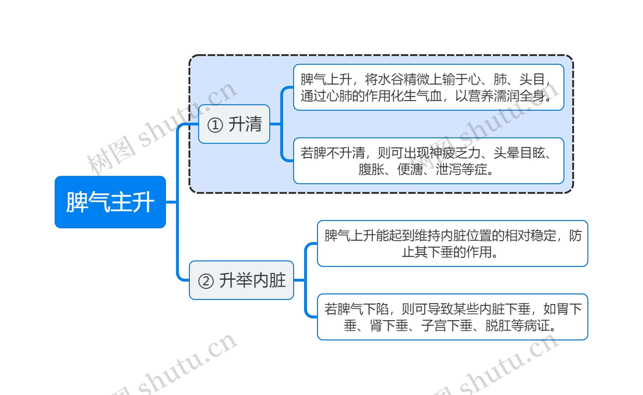 中医知识脾气主升思维导图