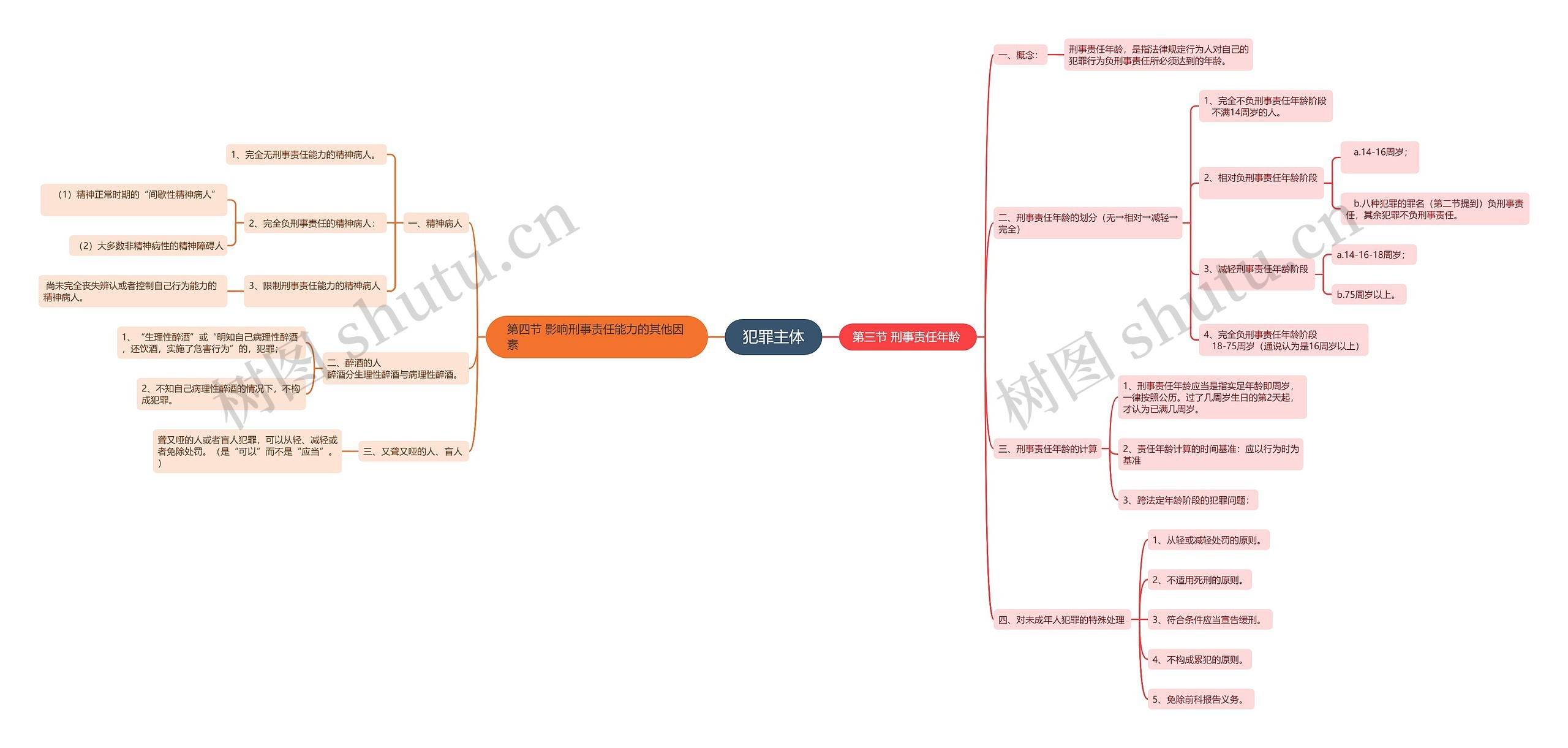 犯罪主体思维导图二
