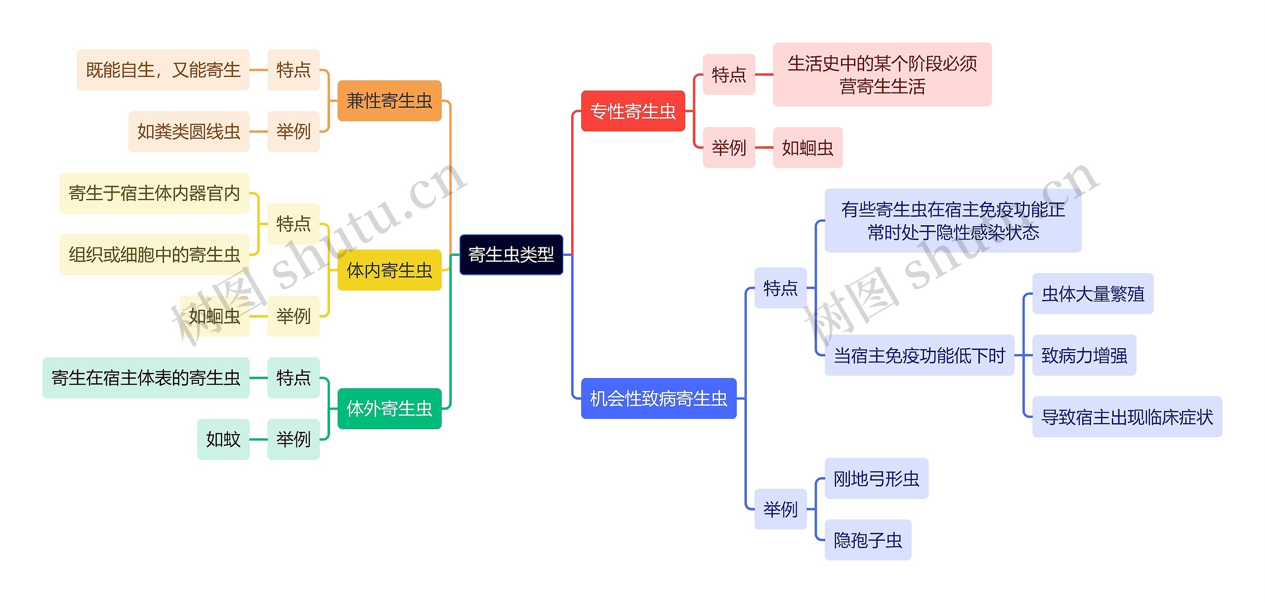 医学知识寄生虫类型思维导图