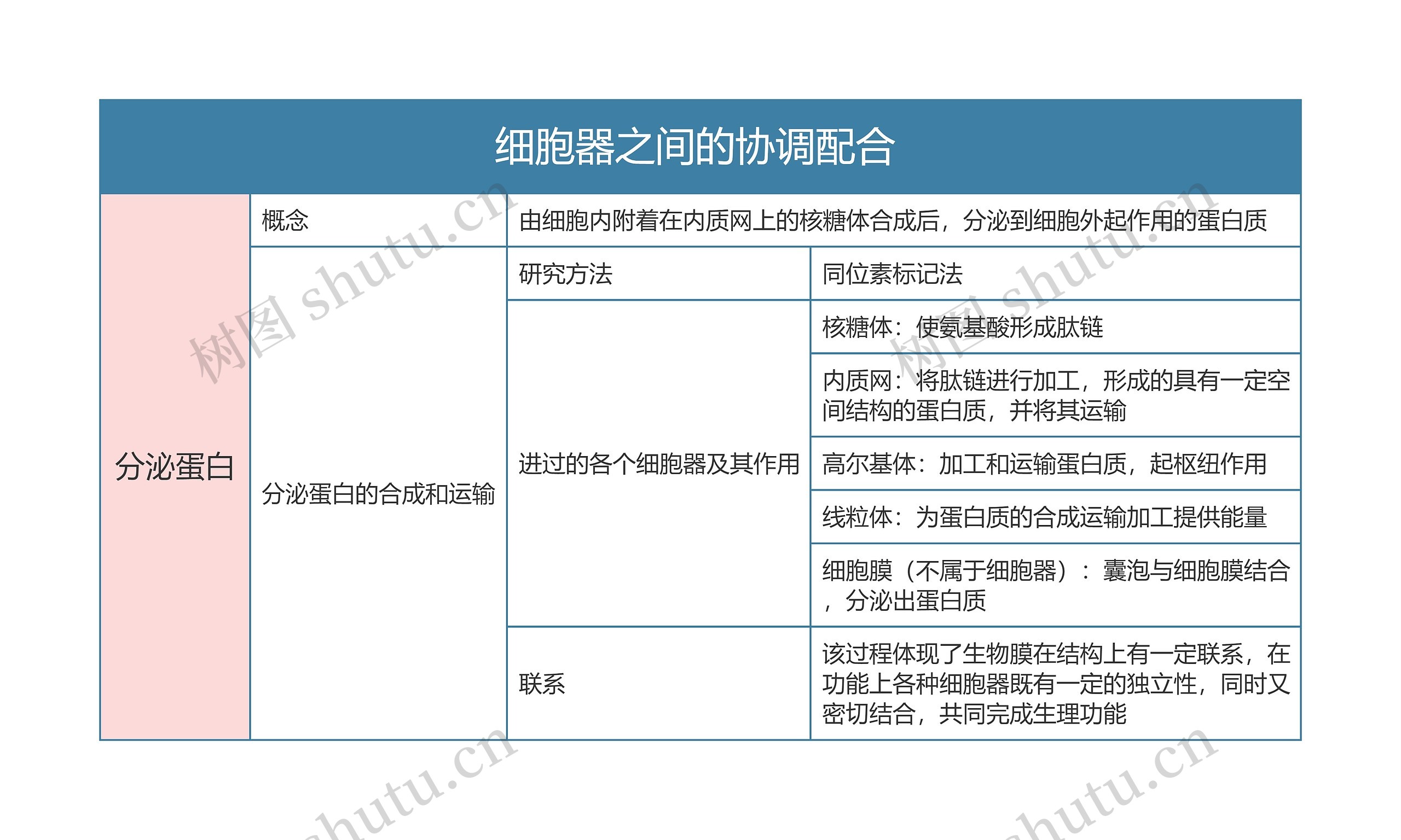 高中生物必修一细胞器之间的协调配合思维导图