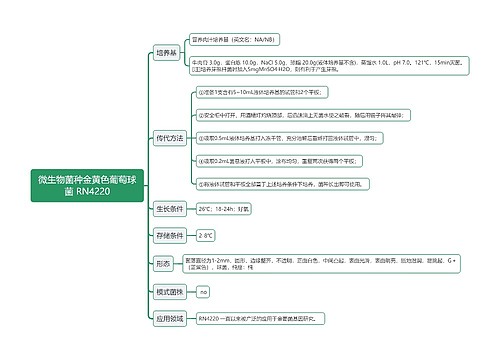 微生物菌种金黄色葡萄球菌 RN4220思维导图