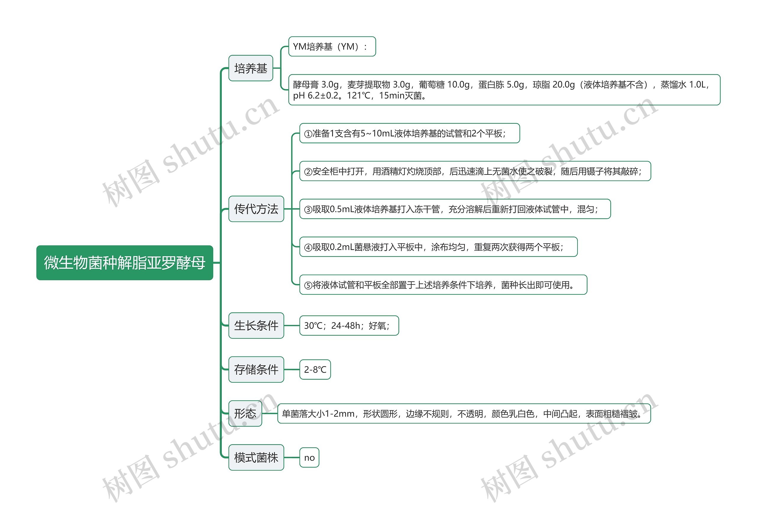 微生物菌种解脂亚罗酵母思维导图