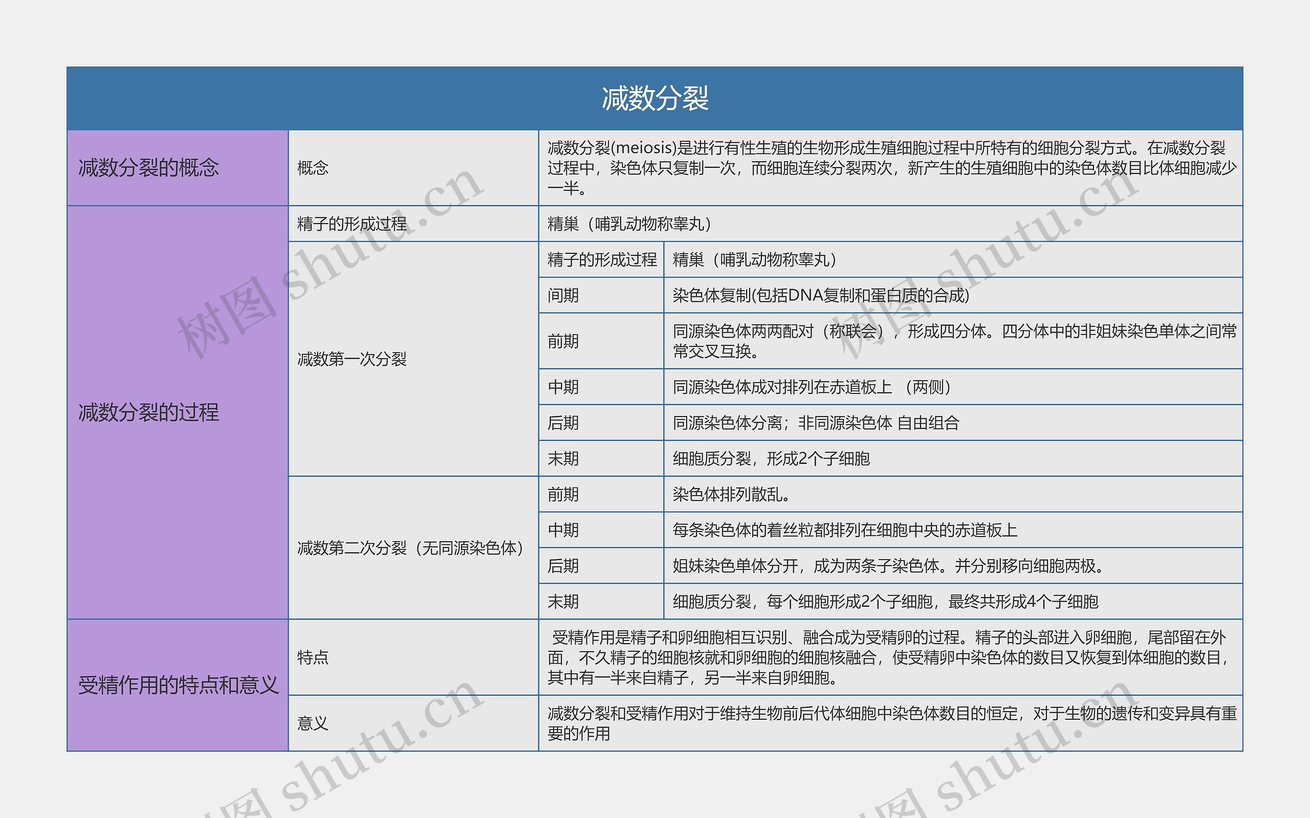 高中生物必修二减数分裂思维导图