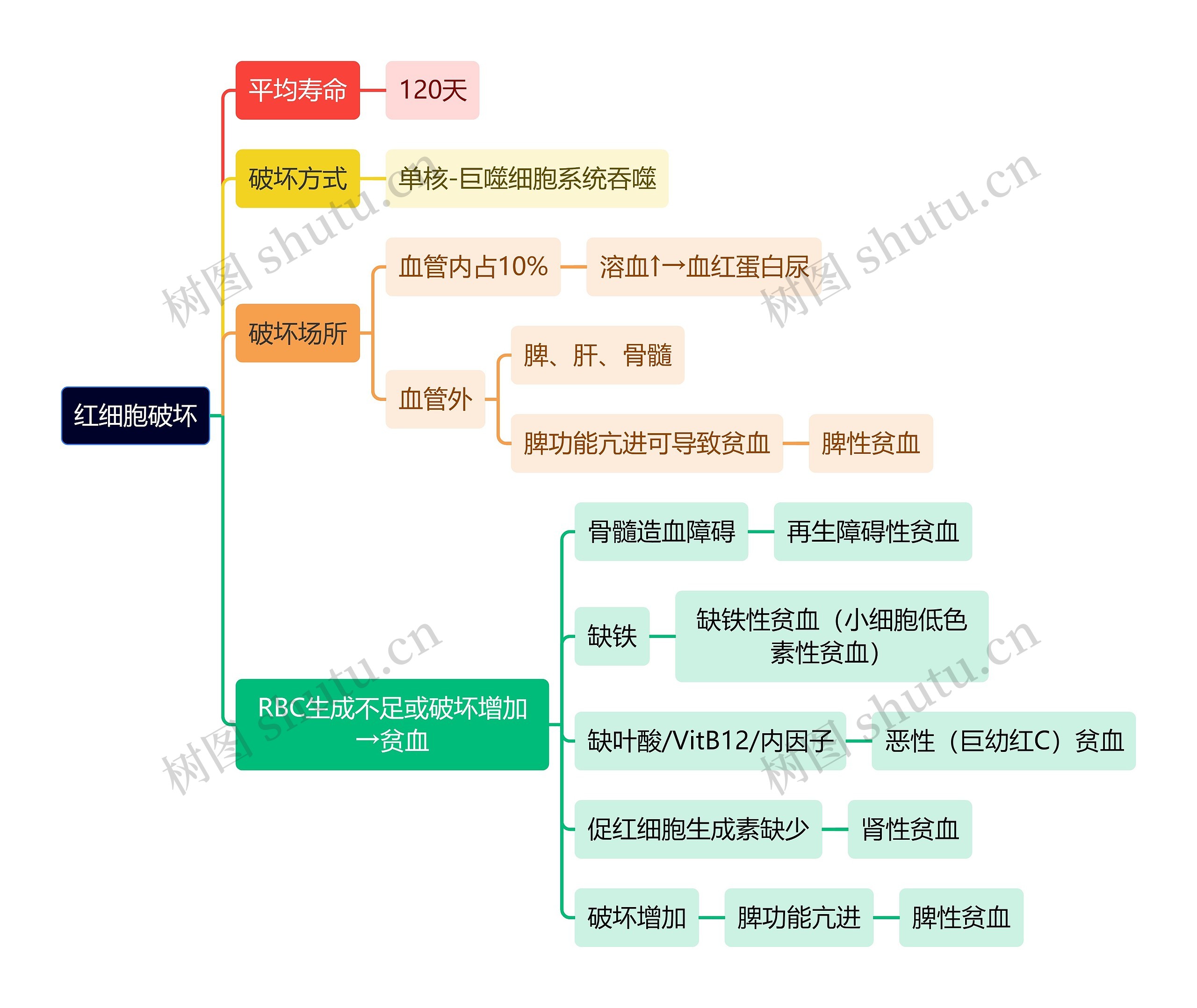 医学知识红细胞破坏思维导图