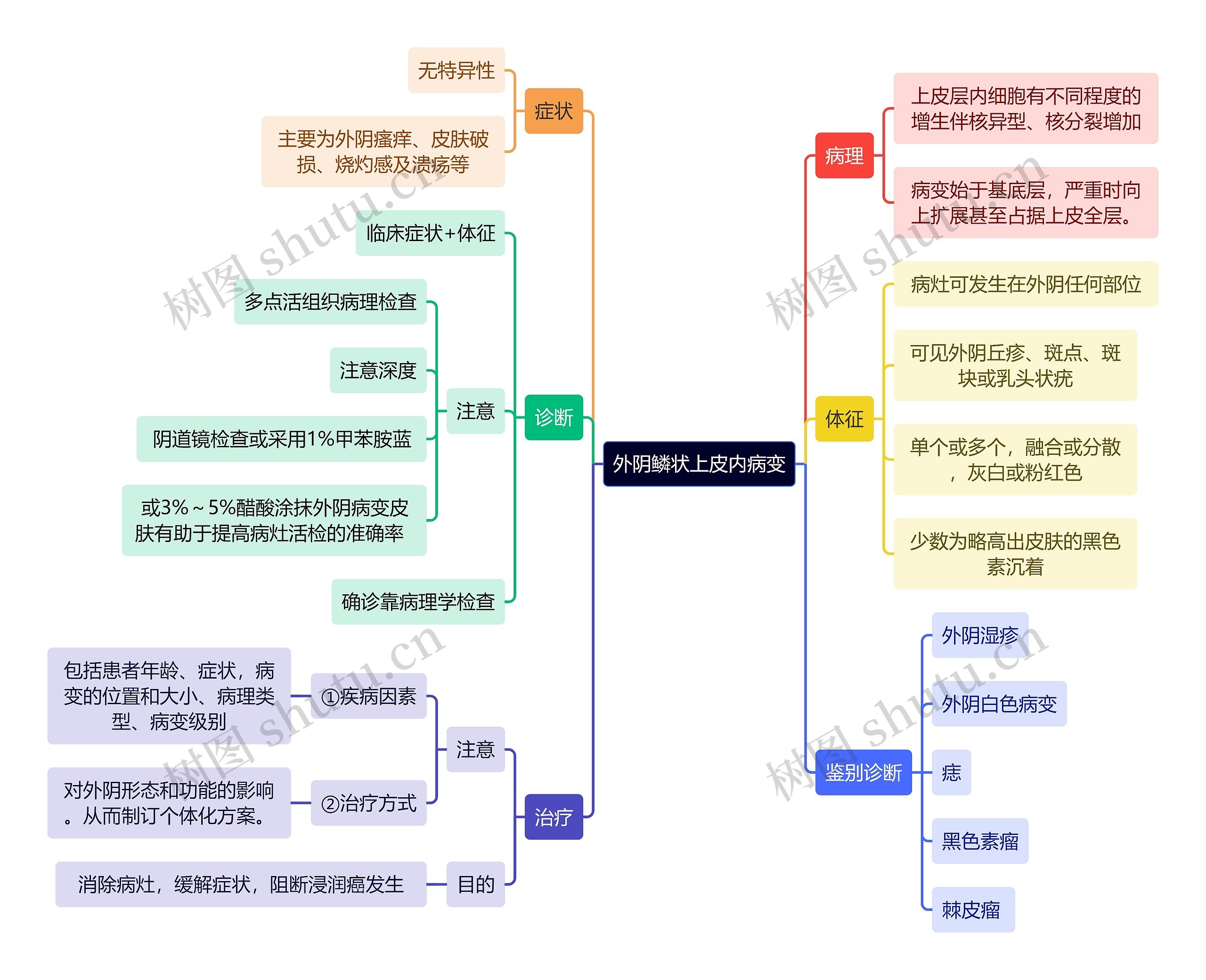 医学知识外阴鳞状上皮内病变思维导图