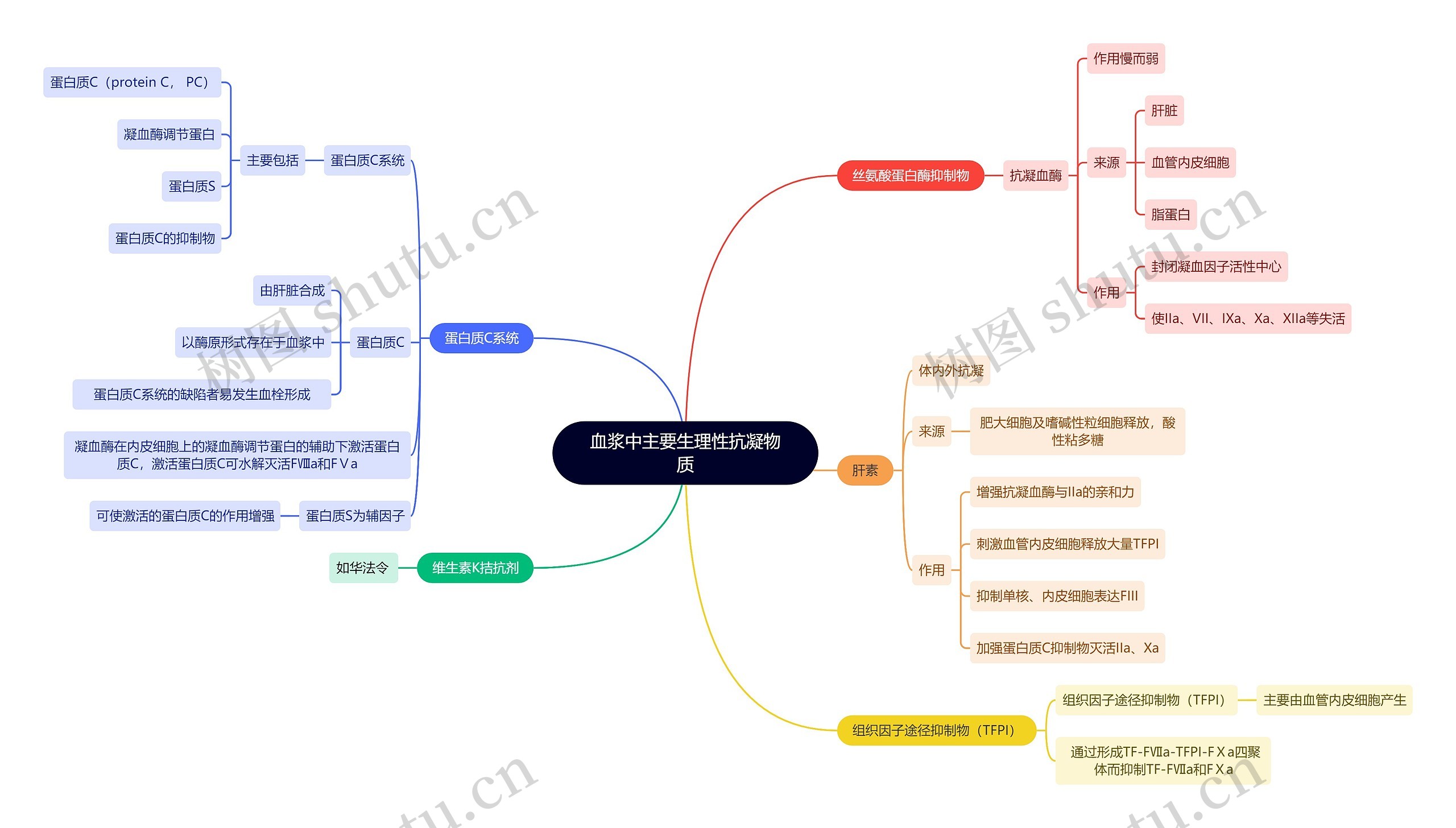 医学知识血浆中主要生理性抗凝物质思维导图