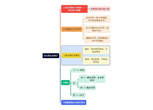 医学知识完全再生的例子思维导图