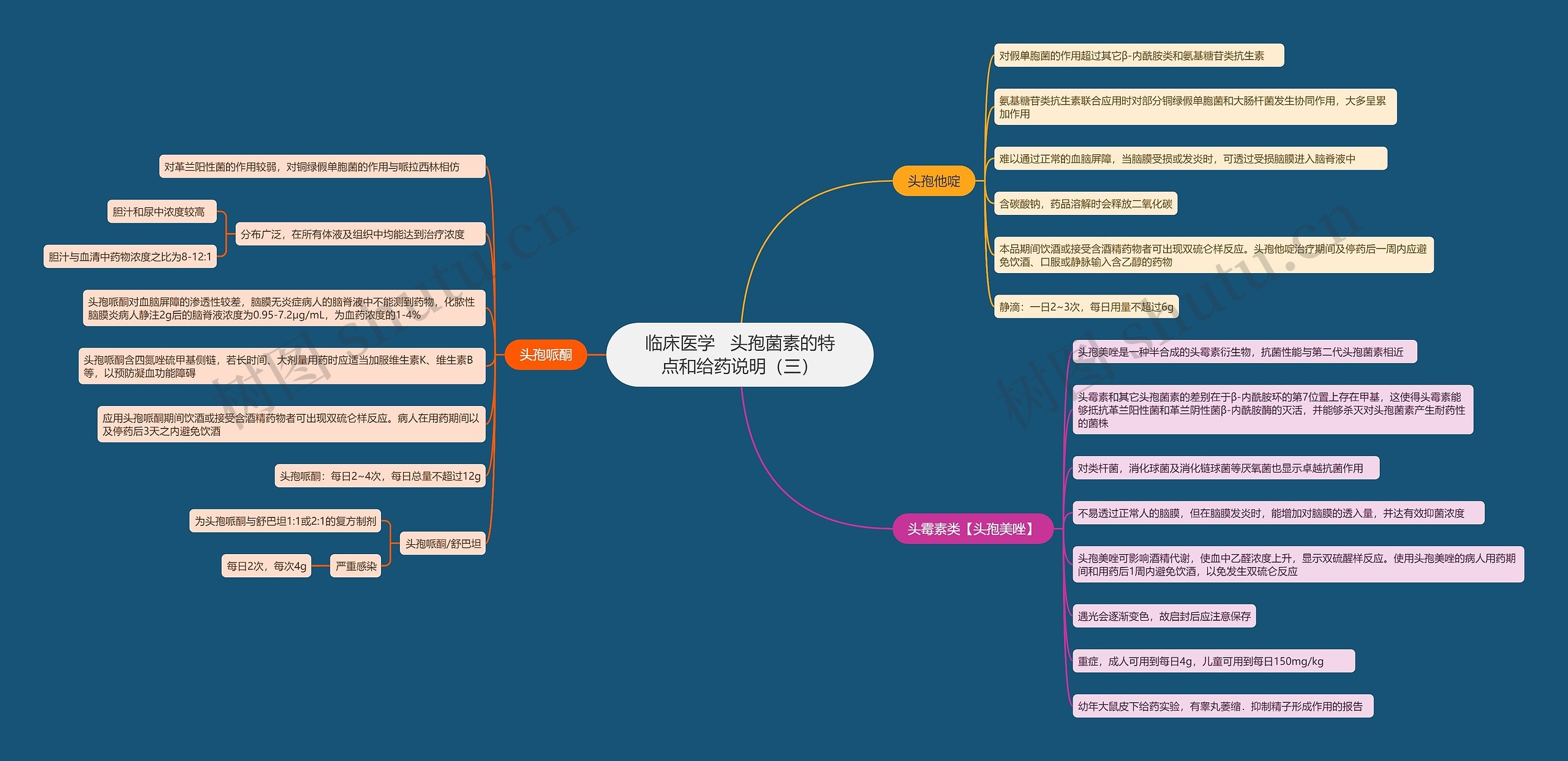 临床医学   头孢菌素的特点和给药说明（三）思维导图