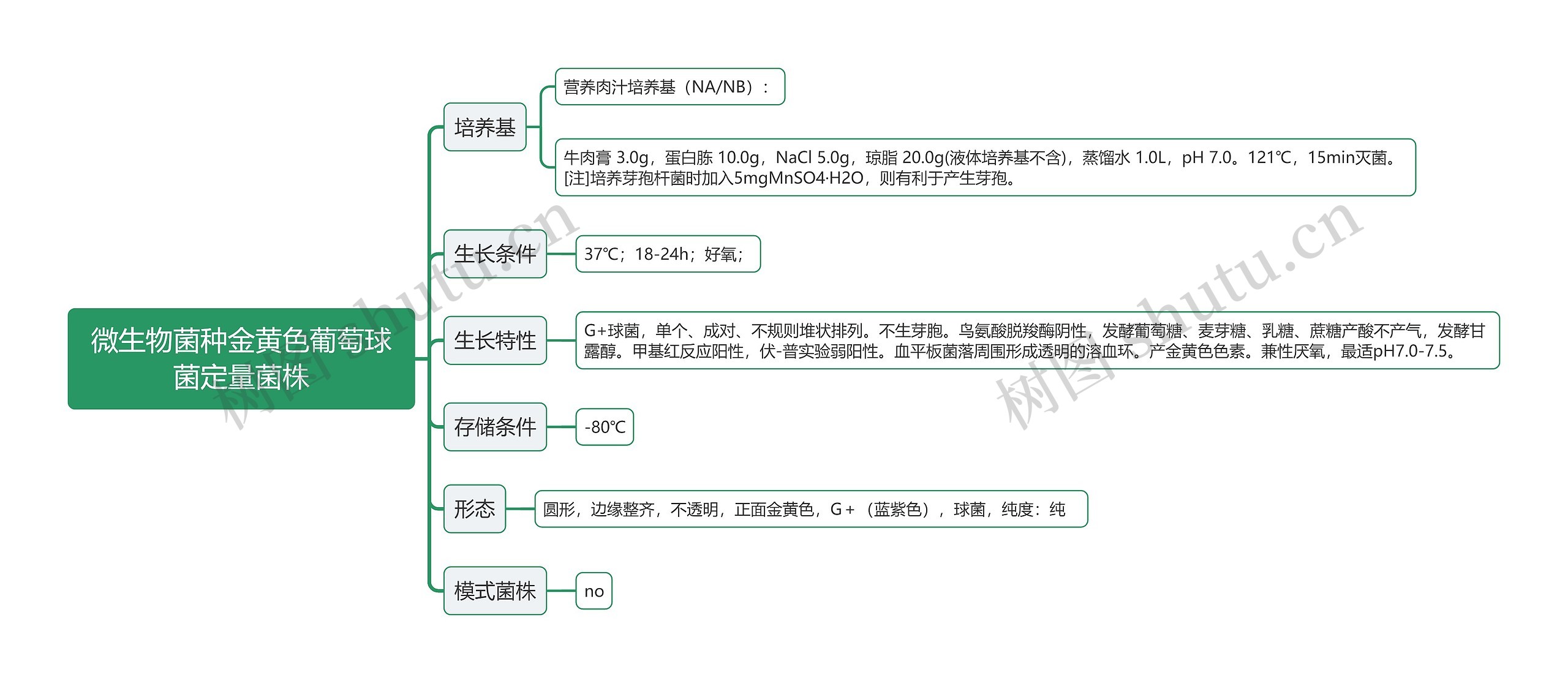 微生物菌种金黄色葡萄球菌定量菌株思维导图