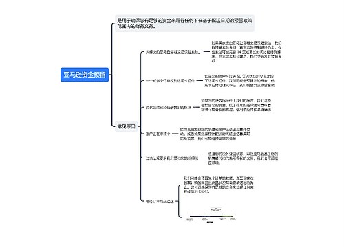 亚马逊资金预留原因的思维导图