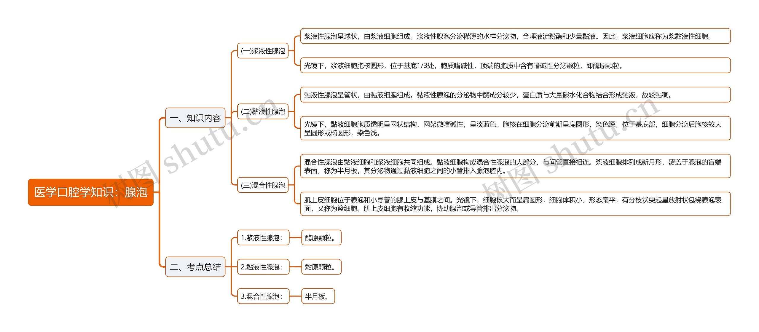 医学口腔学知识：腺泡思维导图