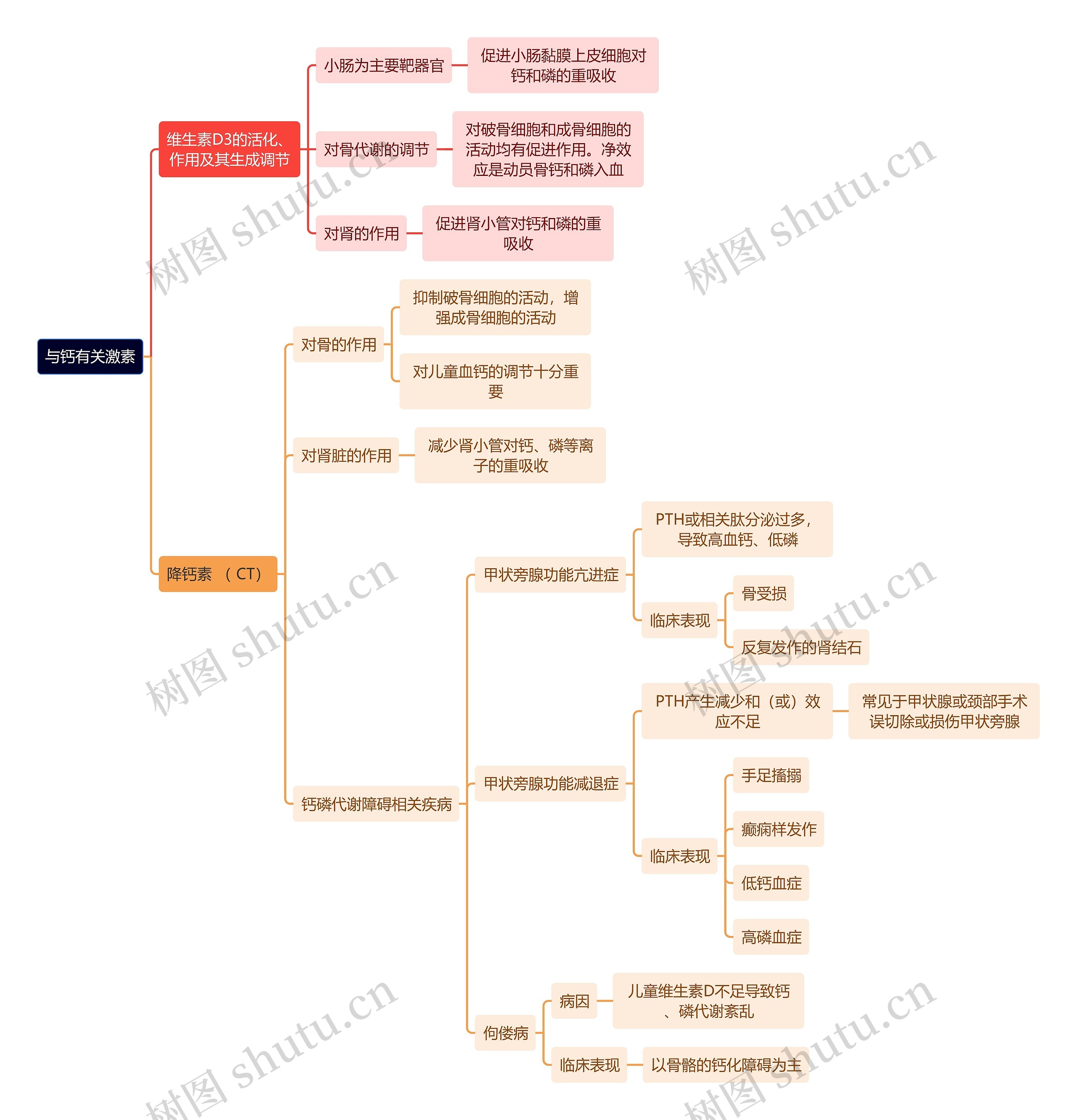 医学知识与钙有关激素思维导图