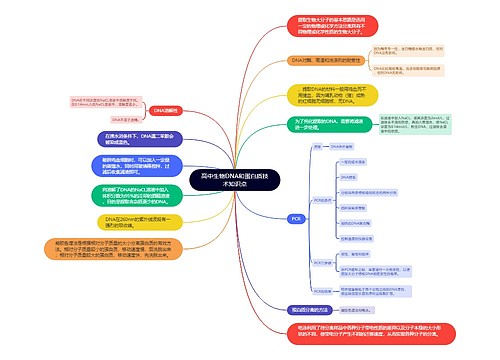 高中生物DNA和蛋白质技术知识点