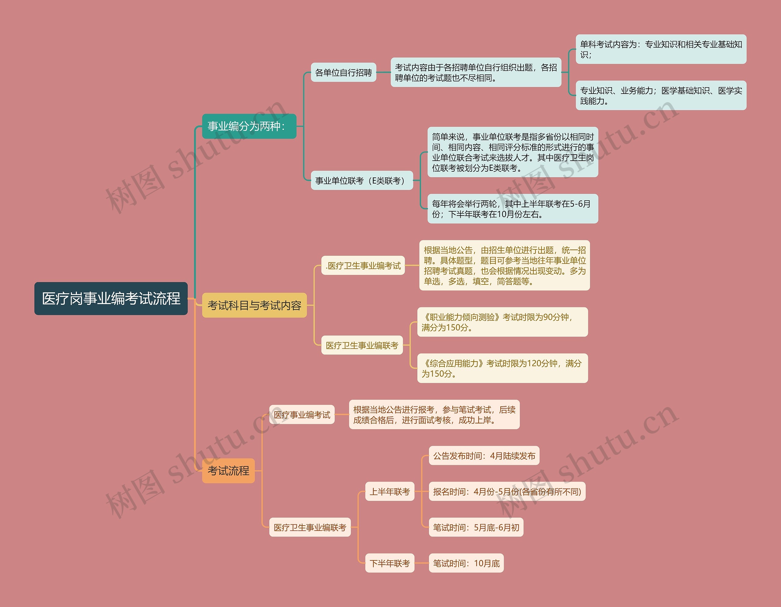 医疗岗事业编考试流程