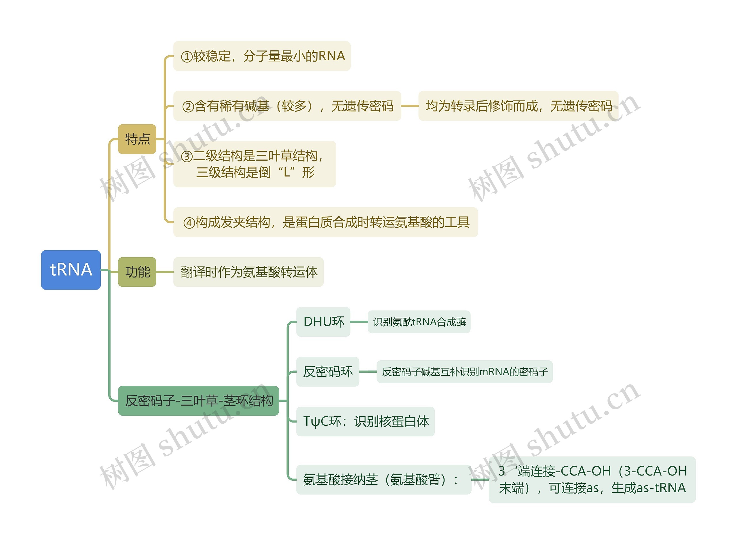 生化tRNA思维导图高清图 生化tRNA思维导图