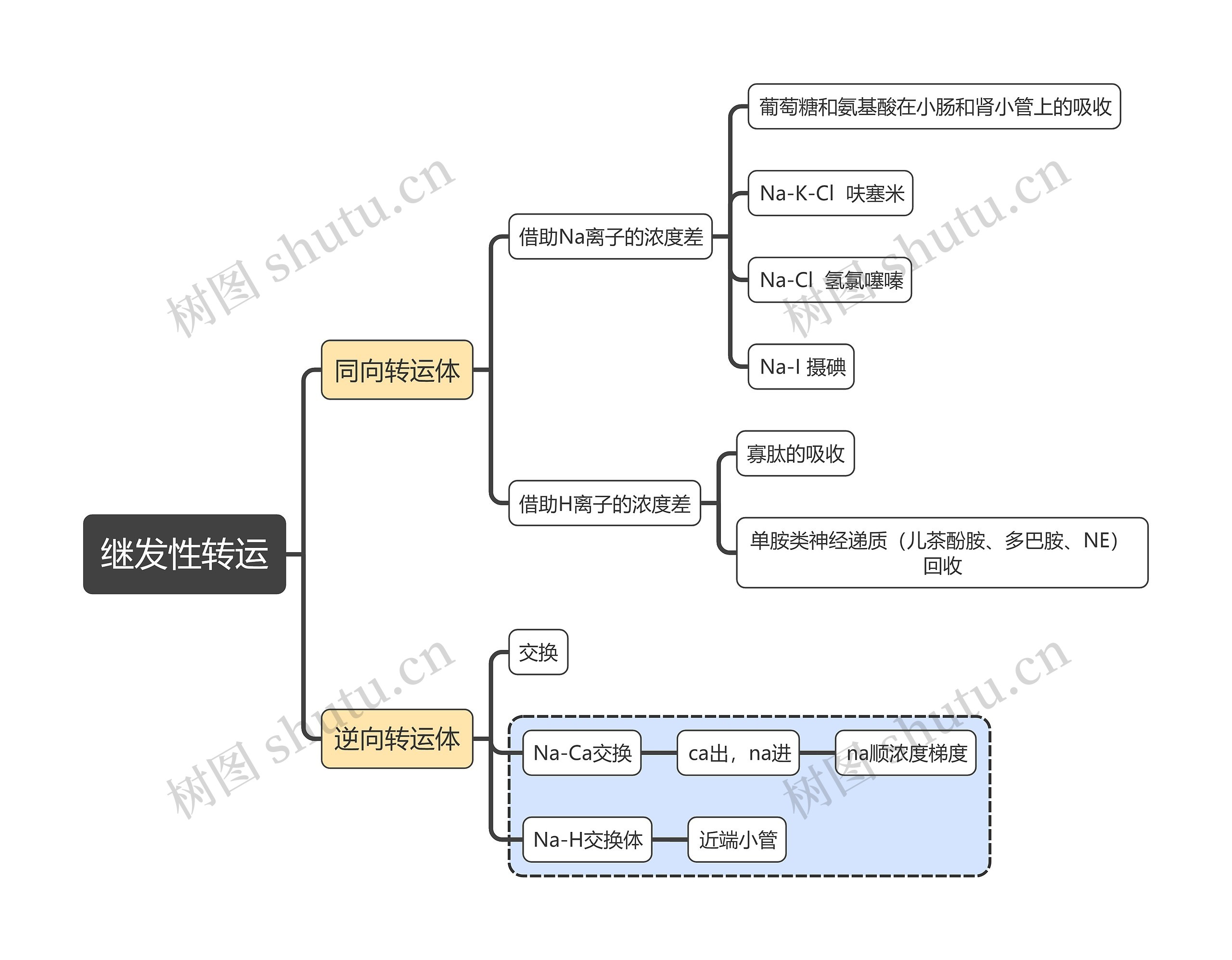 医学知识继发性转运思维导图