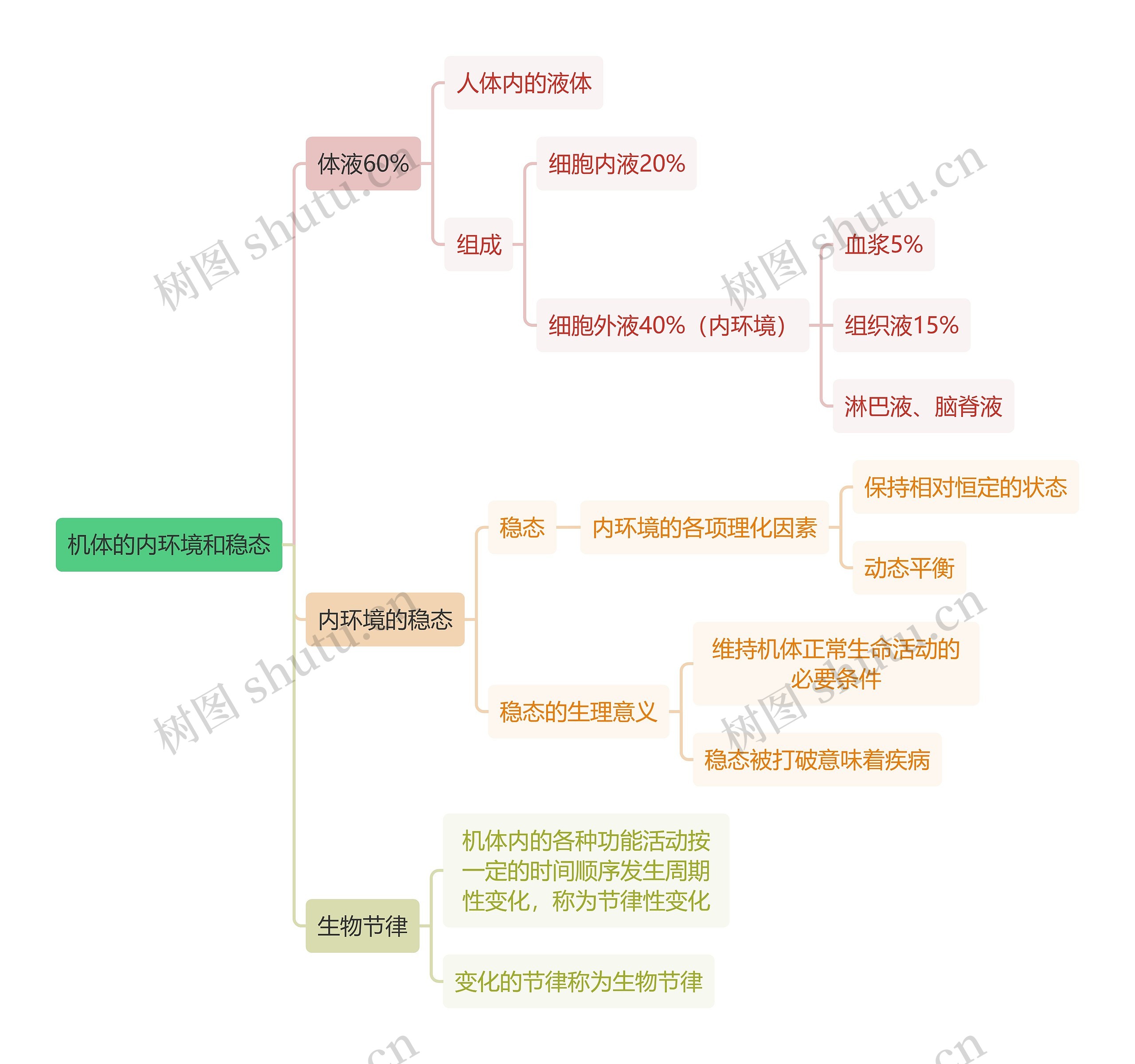 医学知识机体的内环境和稳态思维导图