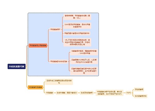 医学知识含硫氨基酸代谢思维导图