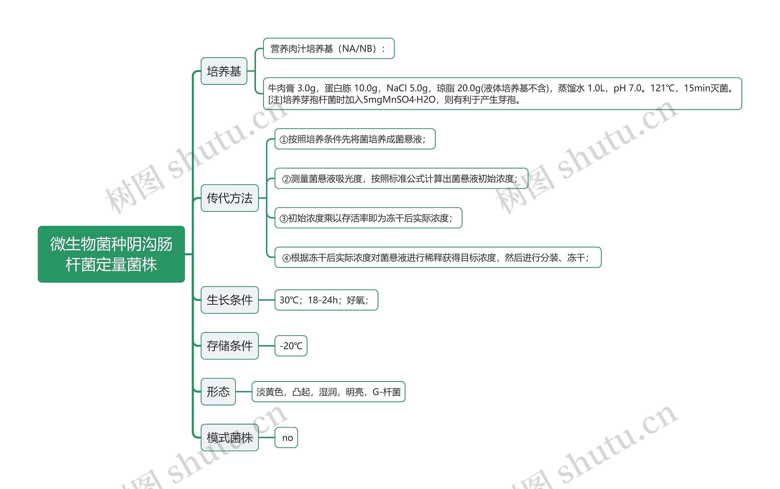 微生物菌种阴沟肠杆菌定量菌株思维导图