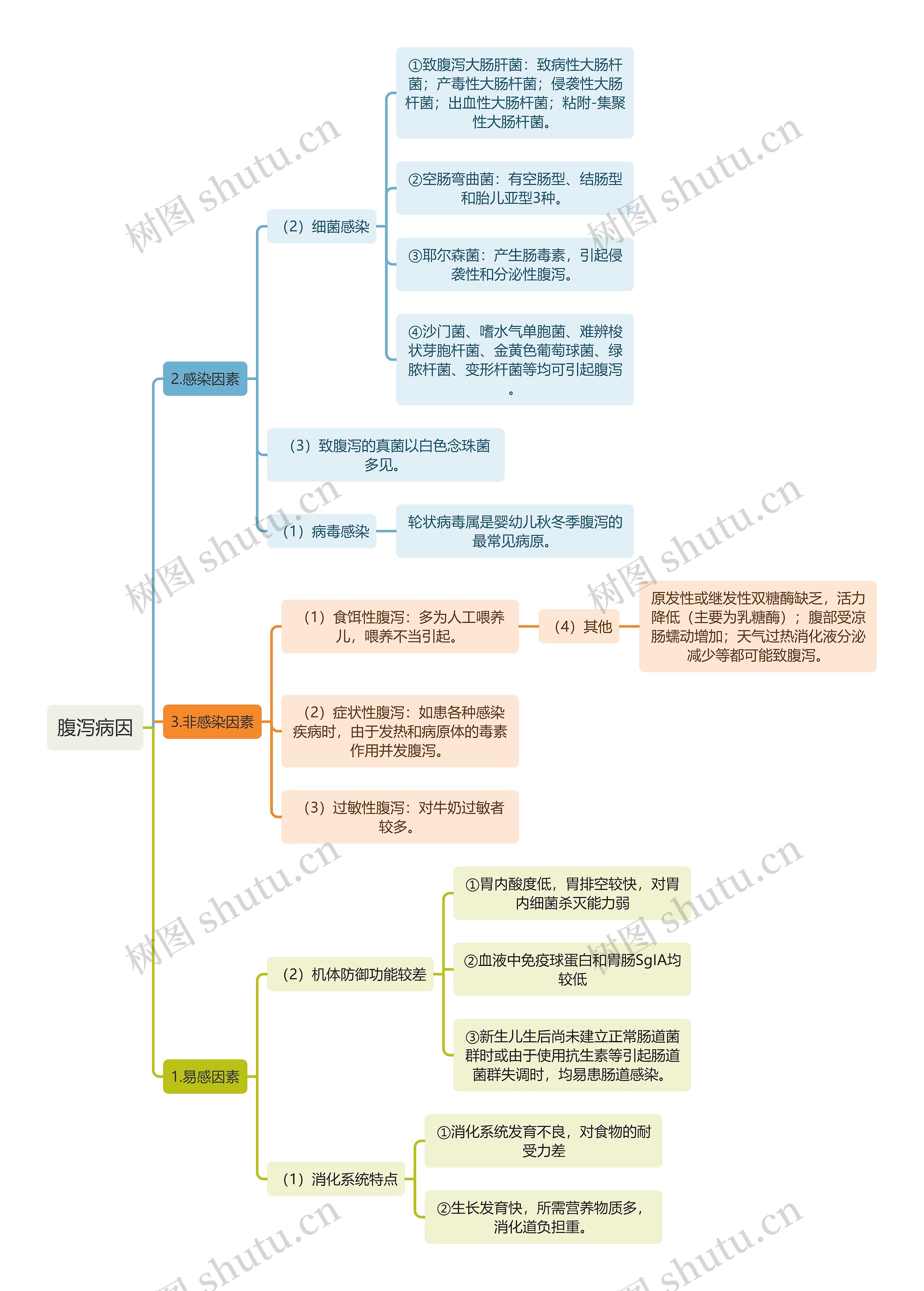 医学知识腹泻病因思维导图