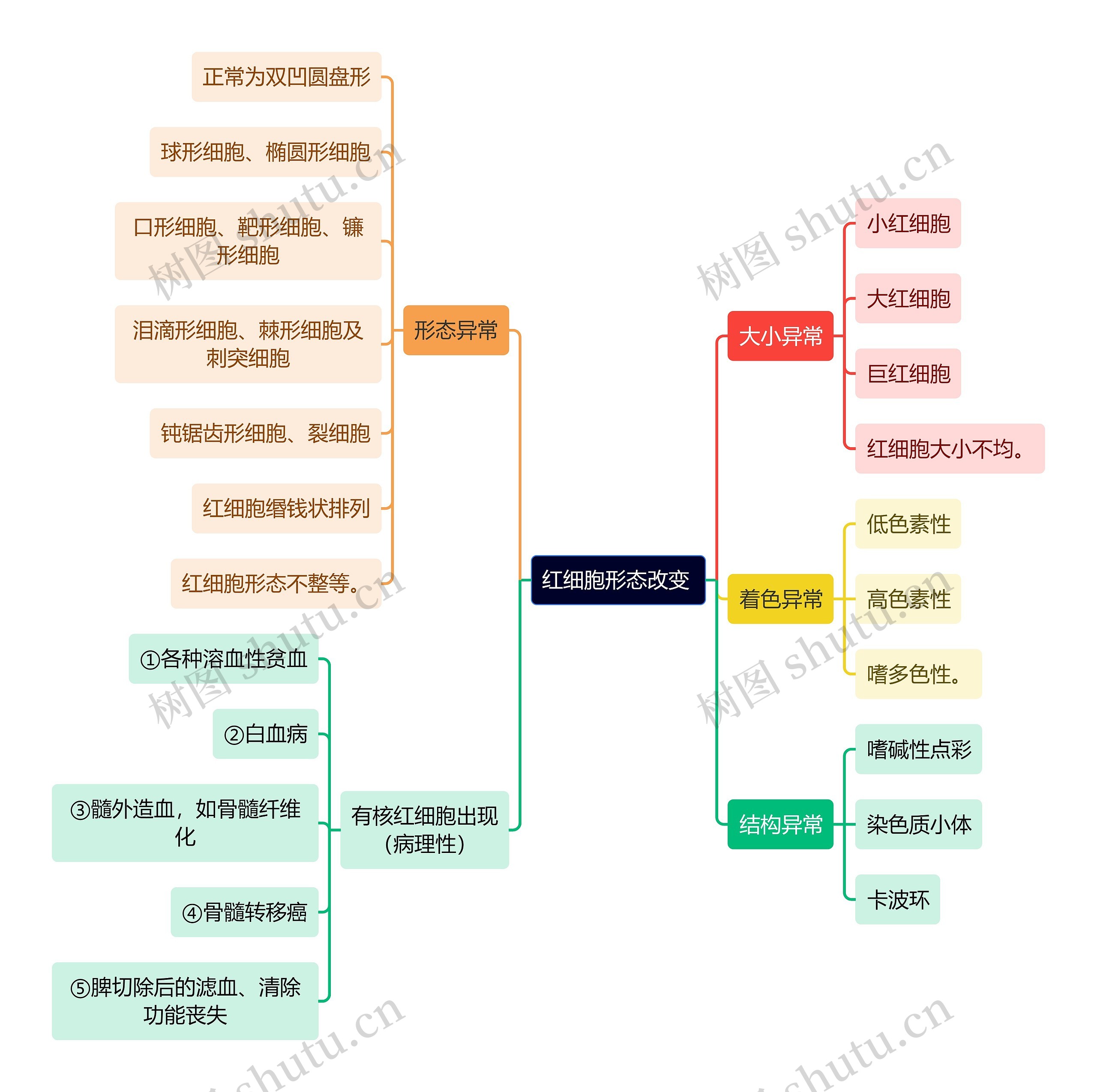 医学知识红细胞形态改变思维导图