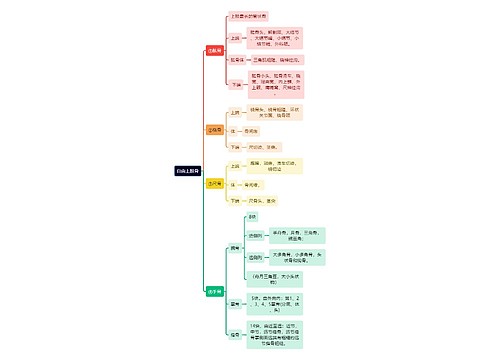 解剖学知识自由上肢骨思维导图