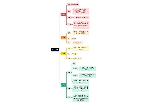 解剖学知识自由上肢骨思维导图