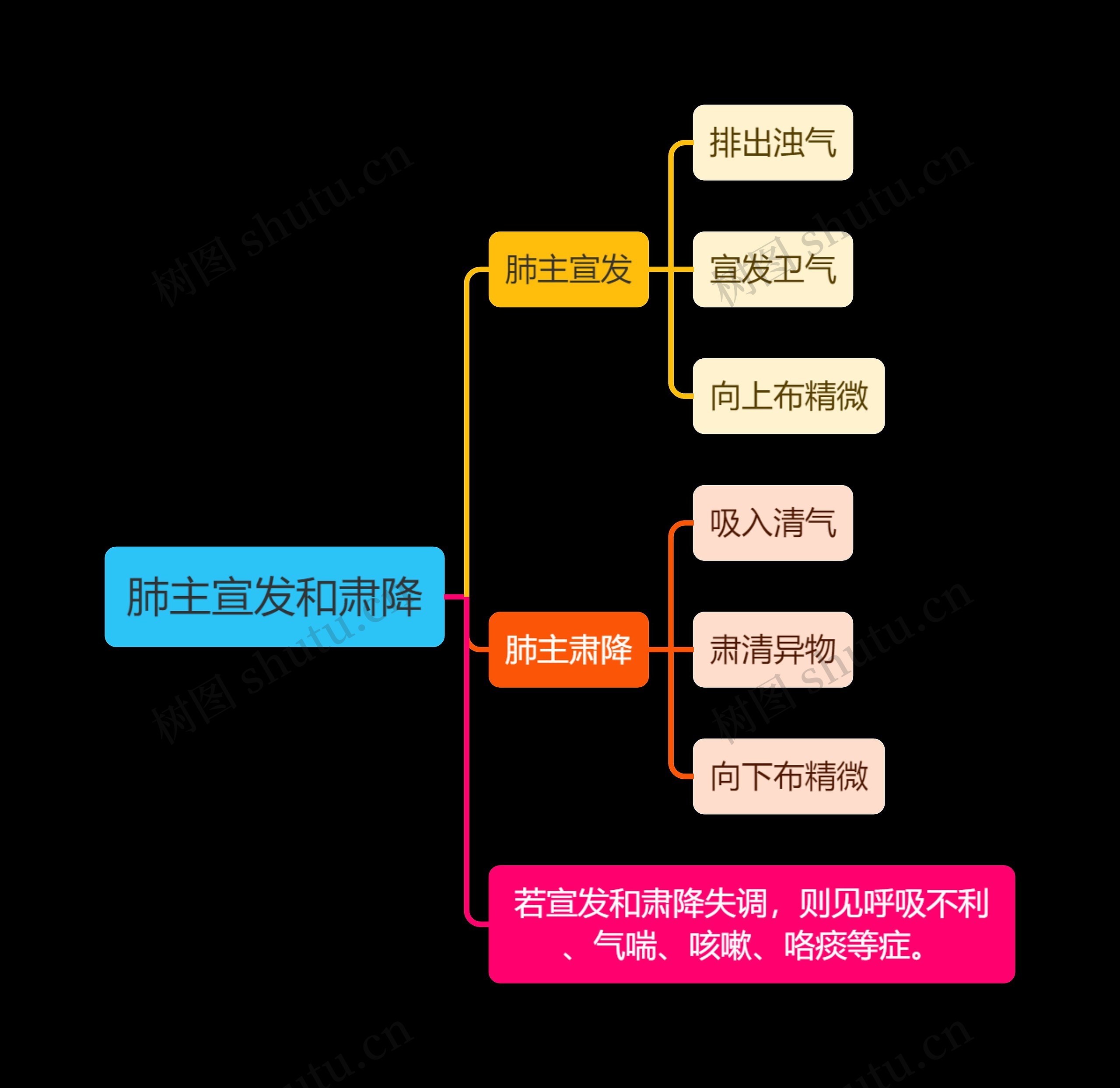 中医知识肺主宣发和肃降思维导图