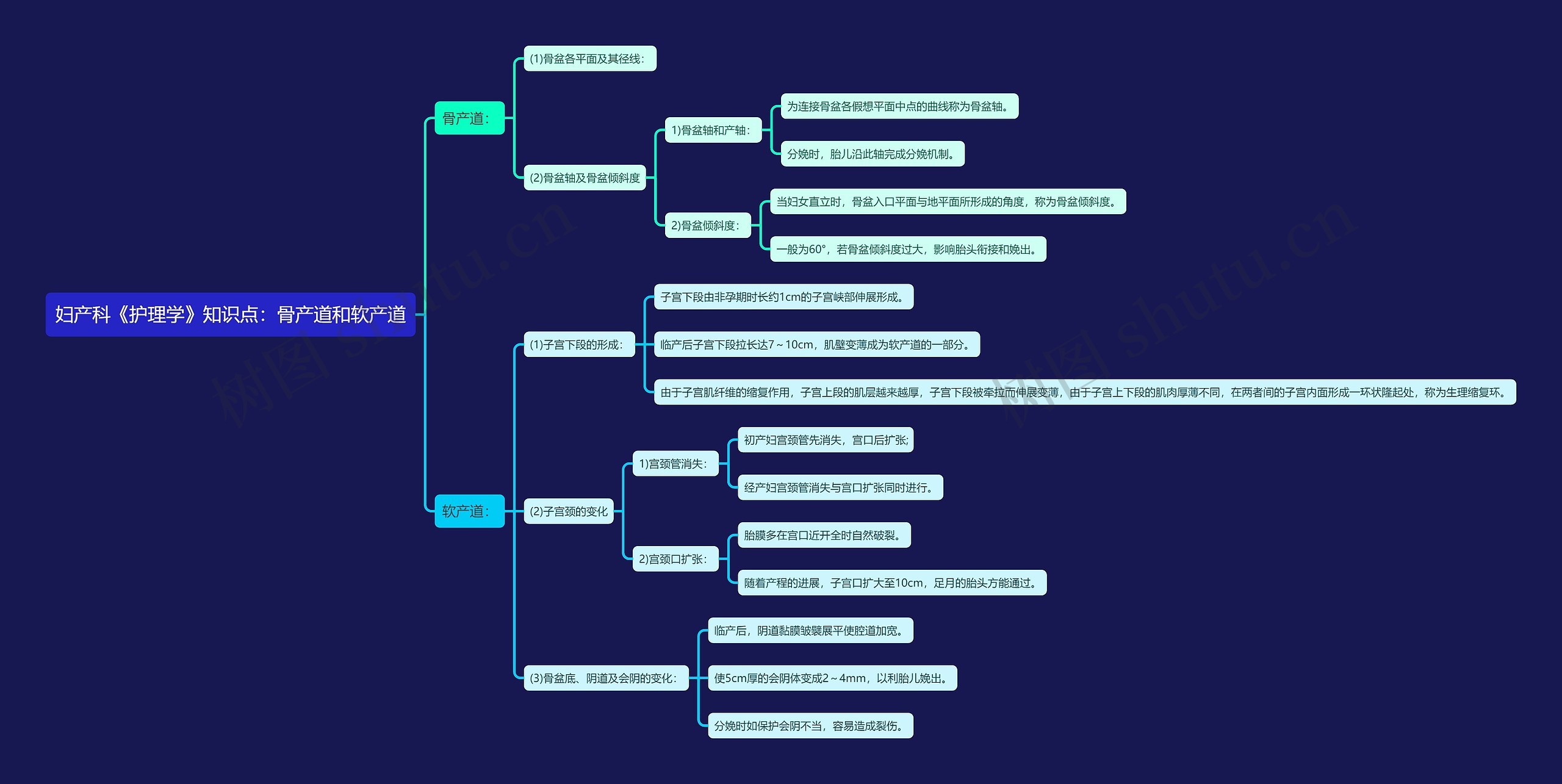妇产科《护理学》知识点：骨产道和软产道思维导图