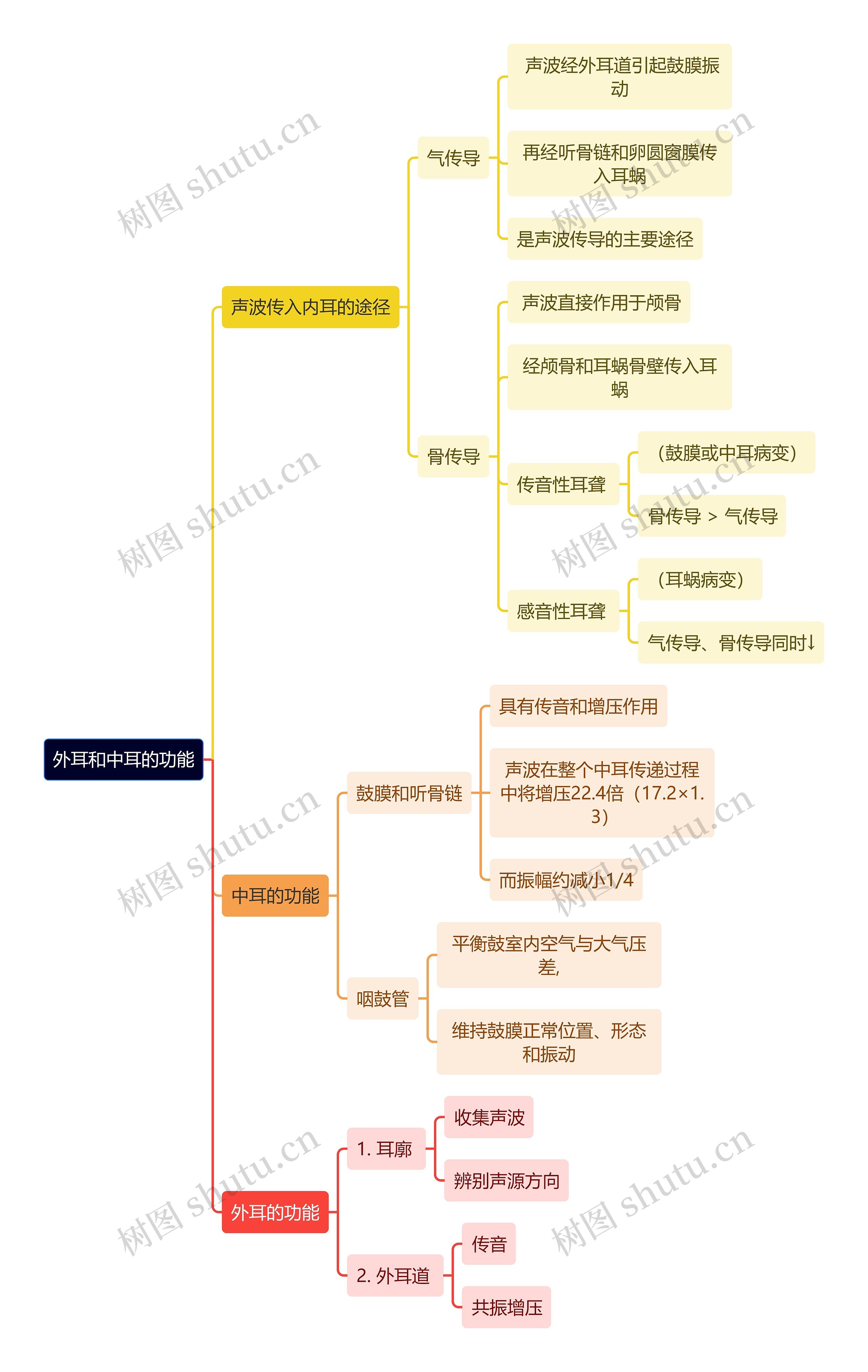 医学知识外耳和中耳的功能思维导图