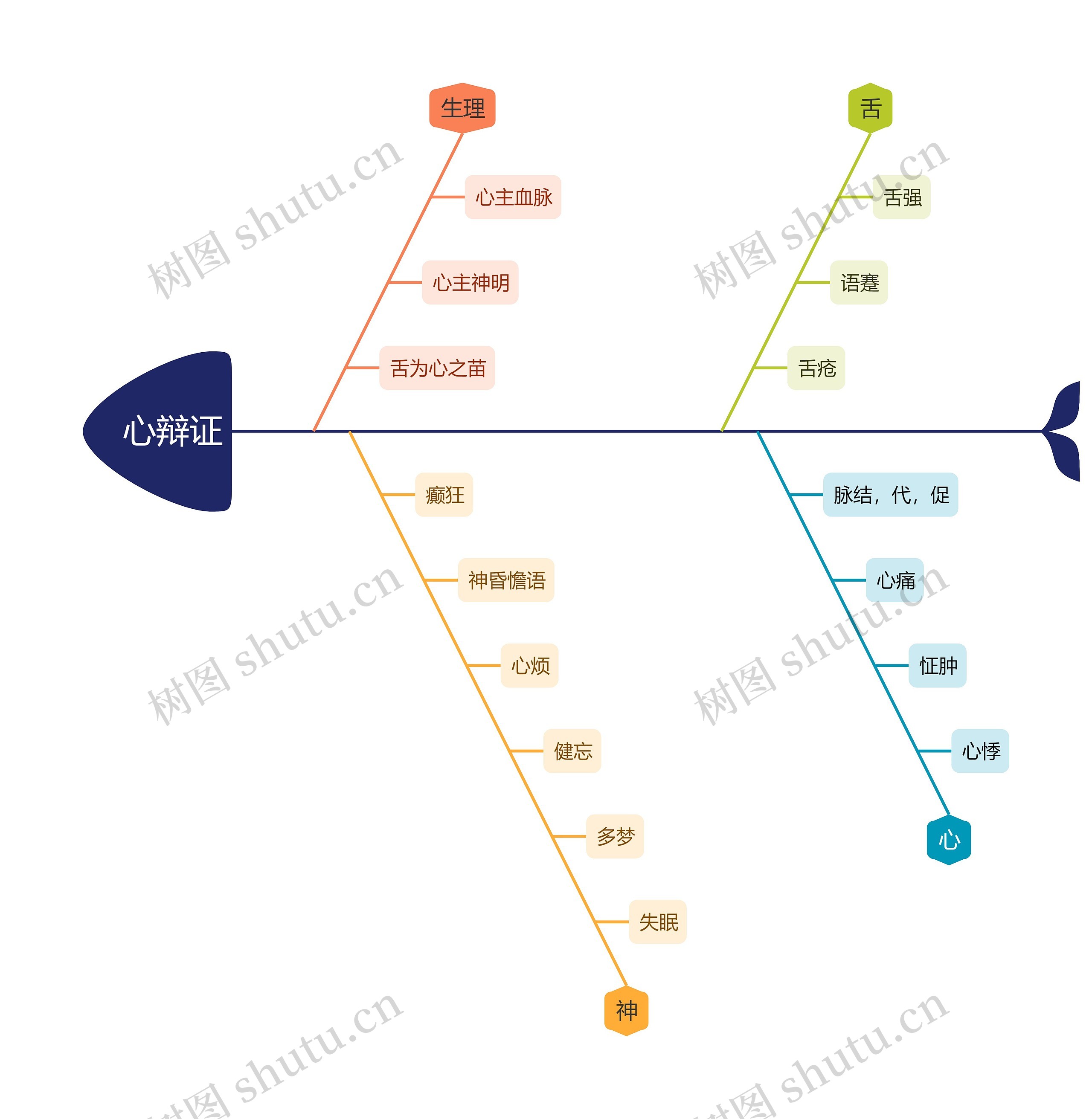 中医知识心辩证思维导图
